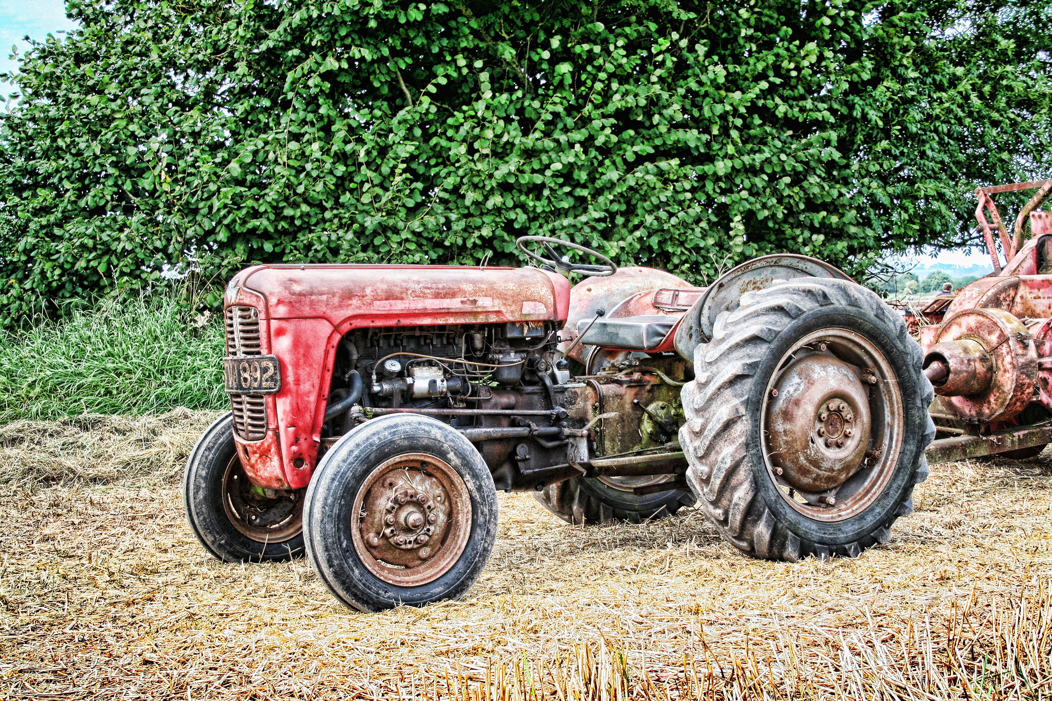 2K, land, agricultural, aged, plant, tree, retro, field, agricultural machinery, rustic, wheel, iron, mode of transportation, equipment, sunlight, transport, HD Wallpaper
