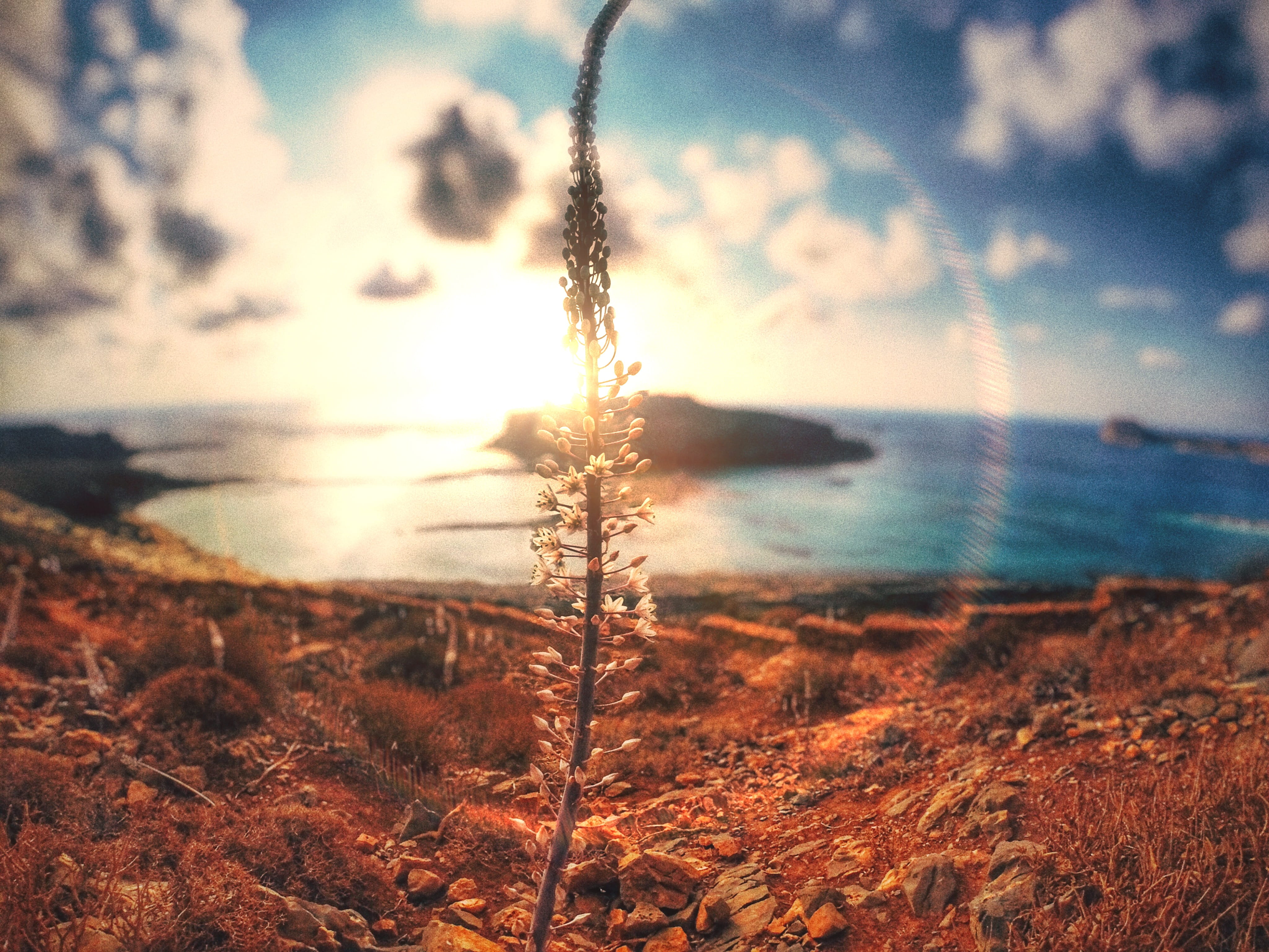 water, gopro, greece, sun, scenics - nature, sunlight, tranquility, sky, focus on foreground, plant, lights, no people, non-urban scene, nature, balos beach, HD Wallpaper