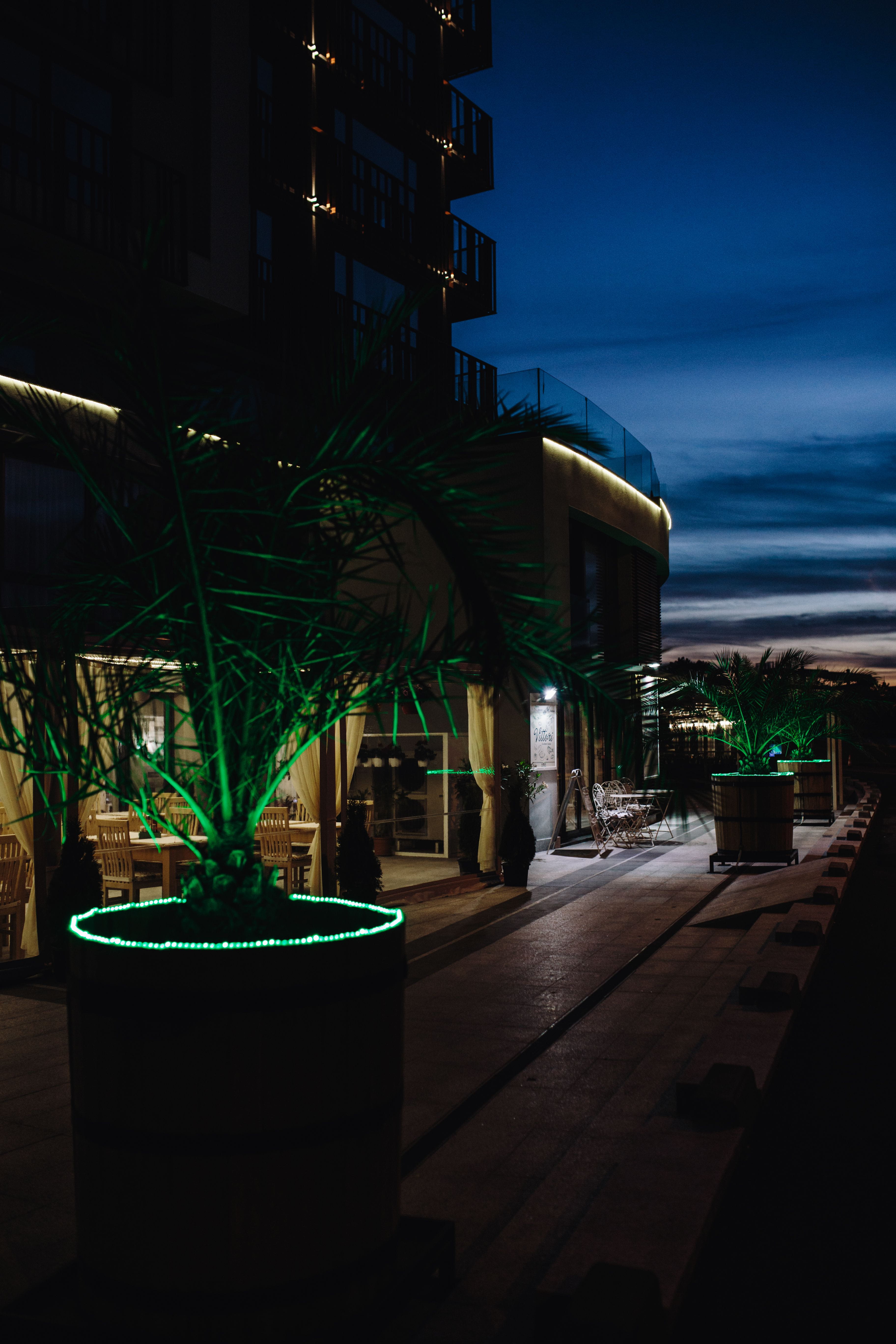 leaves, 5K, sky, illumination, abstract, outdoors, palm, green, building exterior, night, palm tree, color, building, swimming pool, water, trees, nature, Phone HD Wallpaper