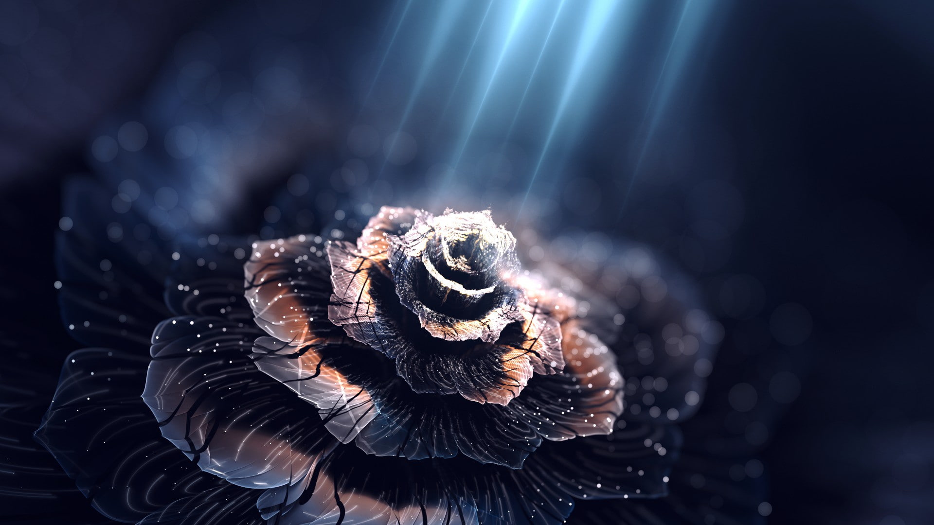 flower, 1080P, petals, light, illumine, brown, HD Wallpaper