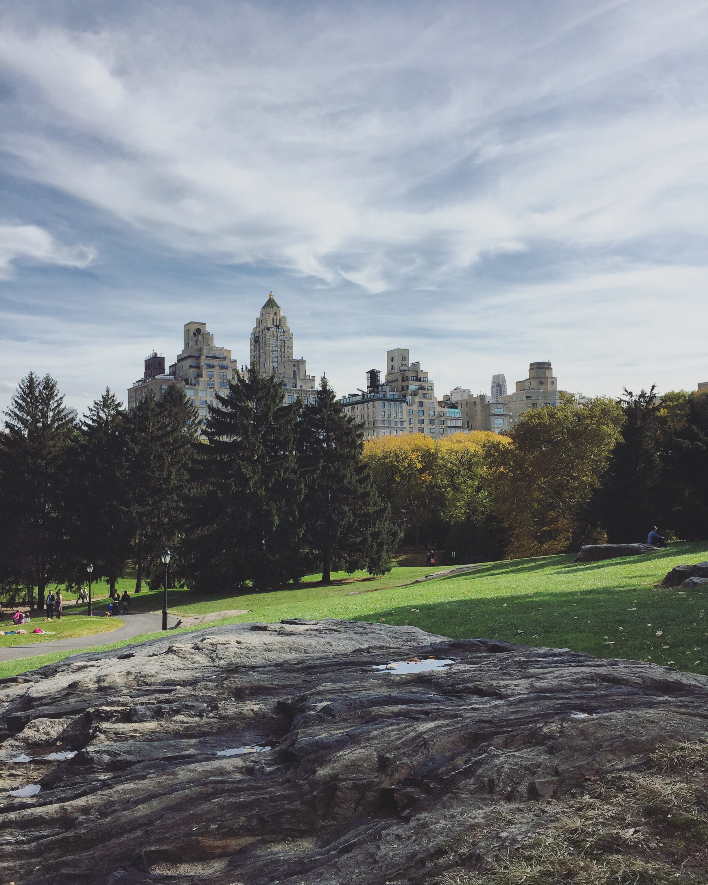 architecture, tree, building, central park, travel destinations, nature, grass, city, incidental people, 2K, day, new york, building exterior, cloud - sky, Phone HD Wallpaper