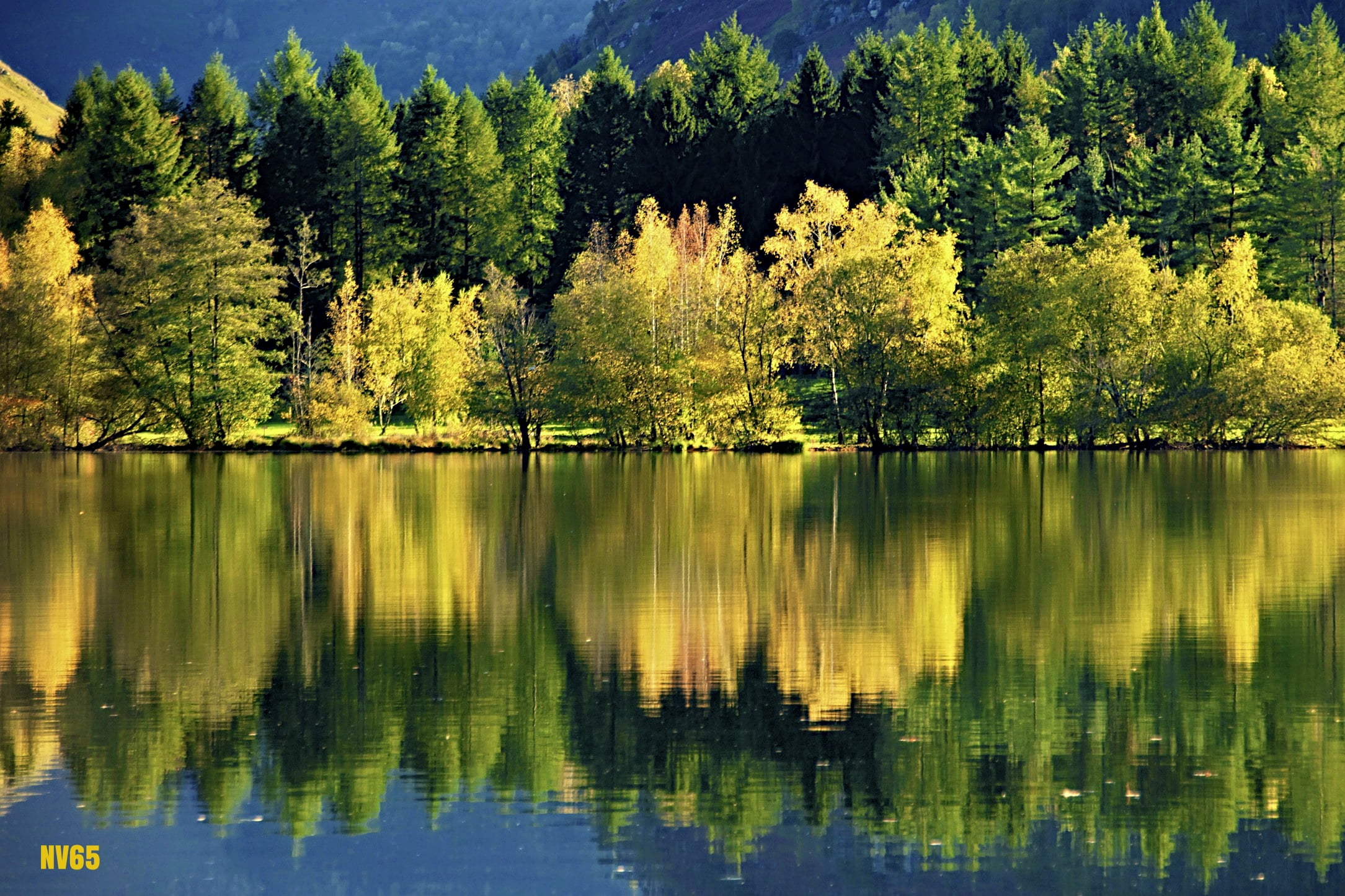 body, sky, autumn, body of water, scenics, tranquil Scene, green Color, 1080P, near, nature, landscape, pentax  K5, tree, lake, ligne, forest, trees, summer, HD Wallpaper