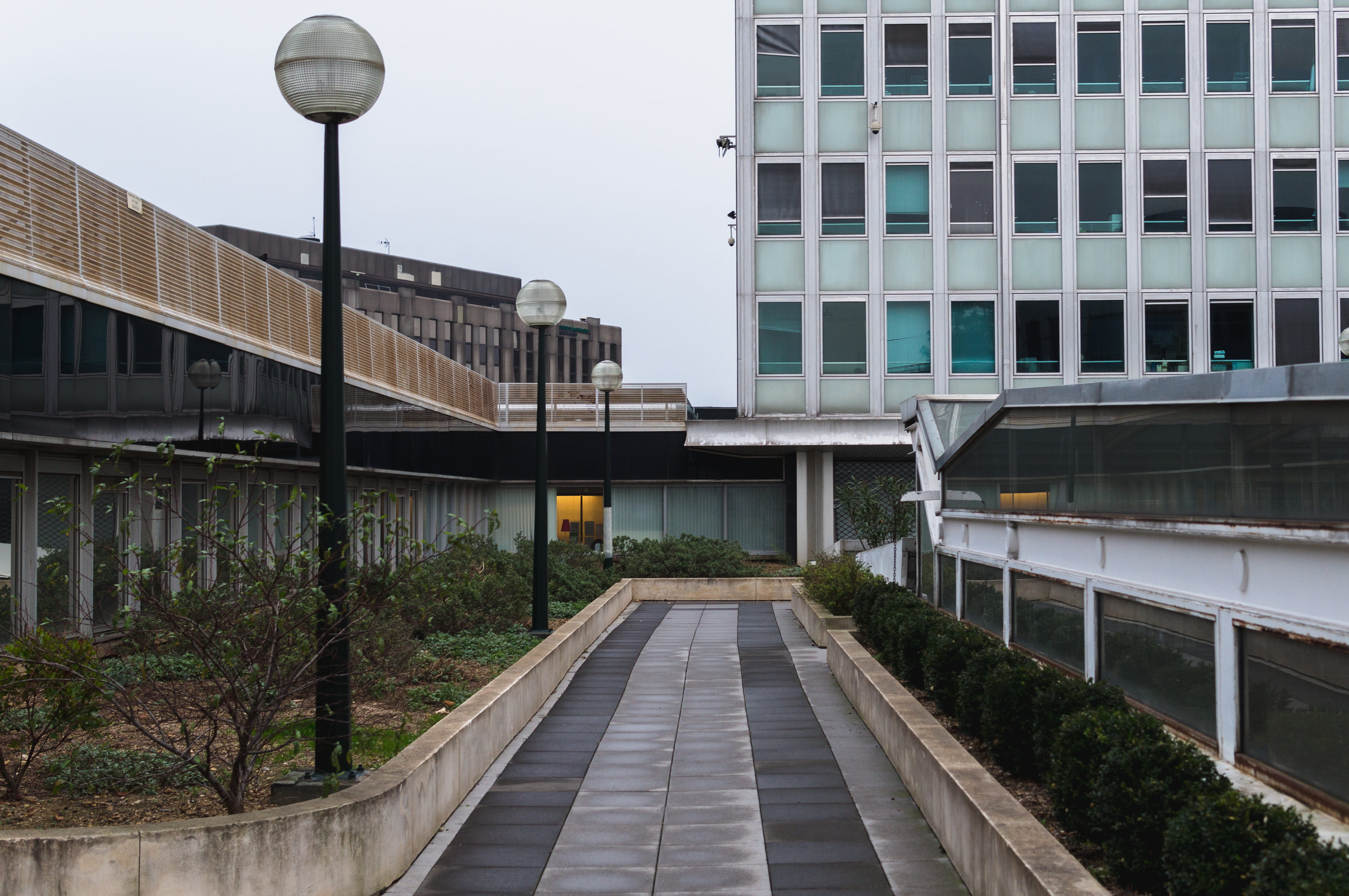 bridge, france, footpath, tree, built structure, architecture, nature, building, cloudy, the way forward, paris montparnasse, street light, street, architecure, HD Wallpaper
