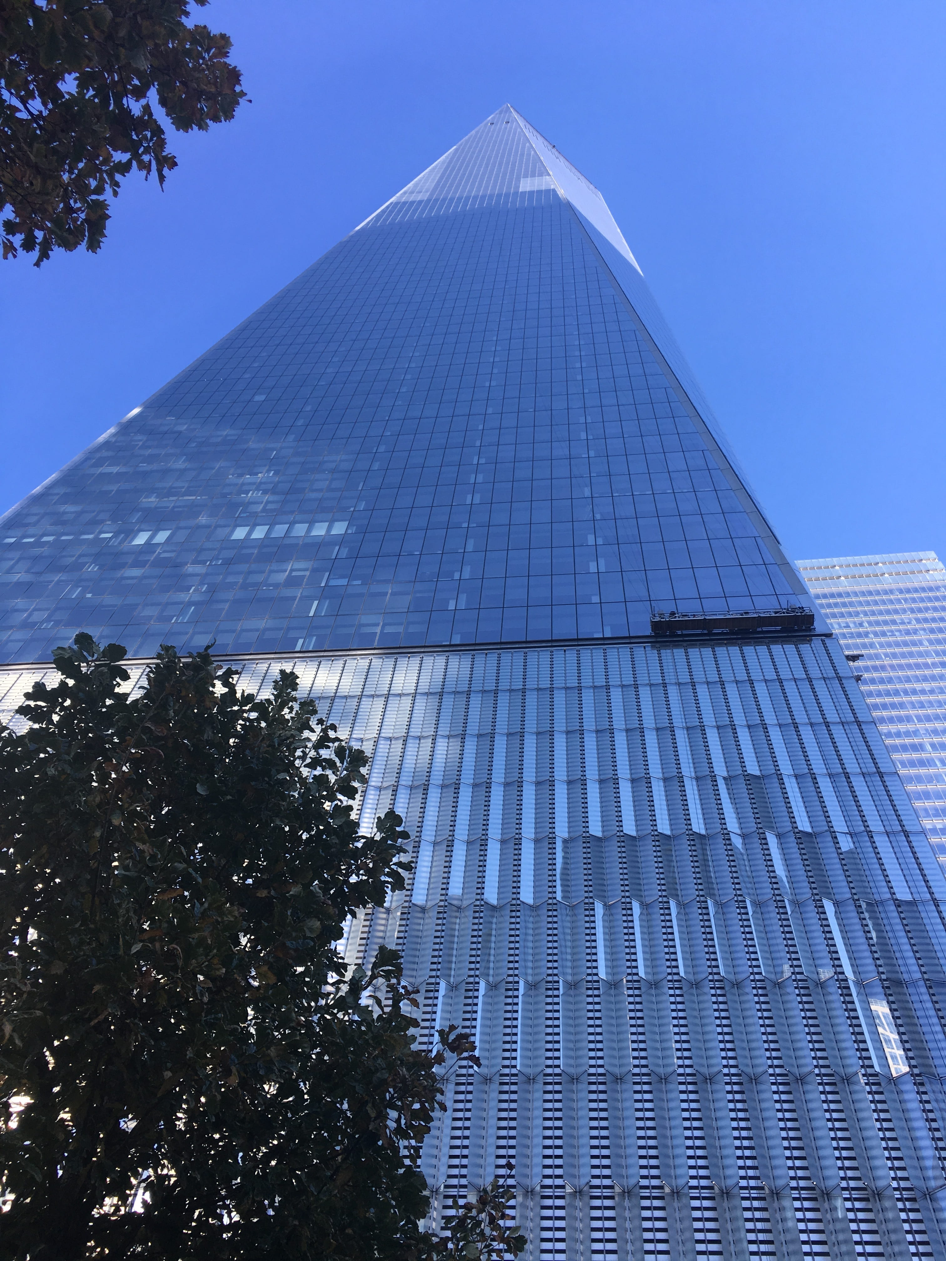 skyscraper, day, office building exterior, trade center, plant, city, dom tower, lower manhattan, blue, architecture, 1 world trade center, tower, new york city, Phone HD Wallpaper