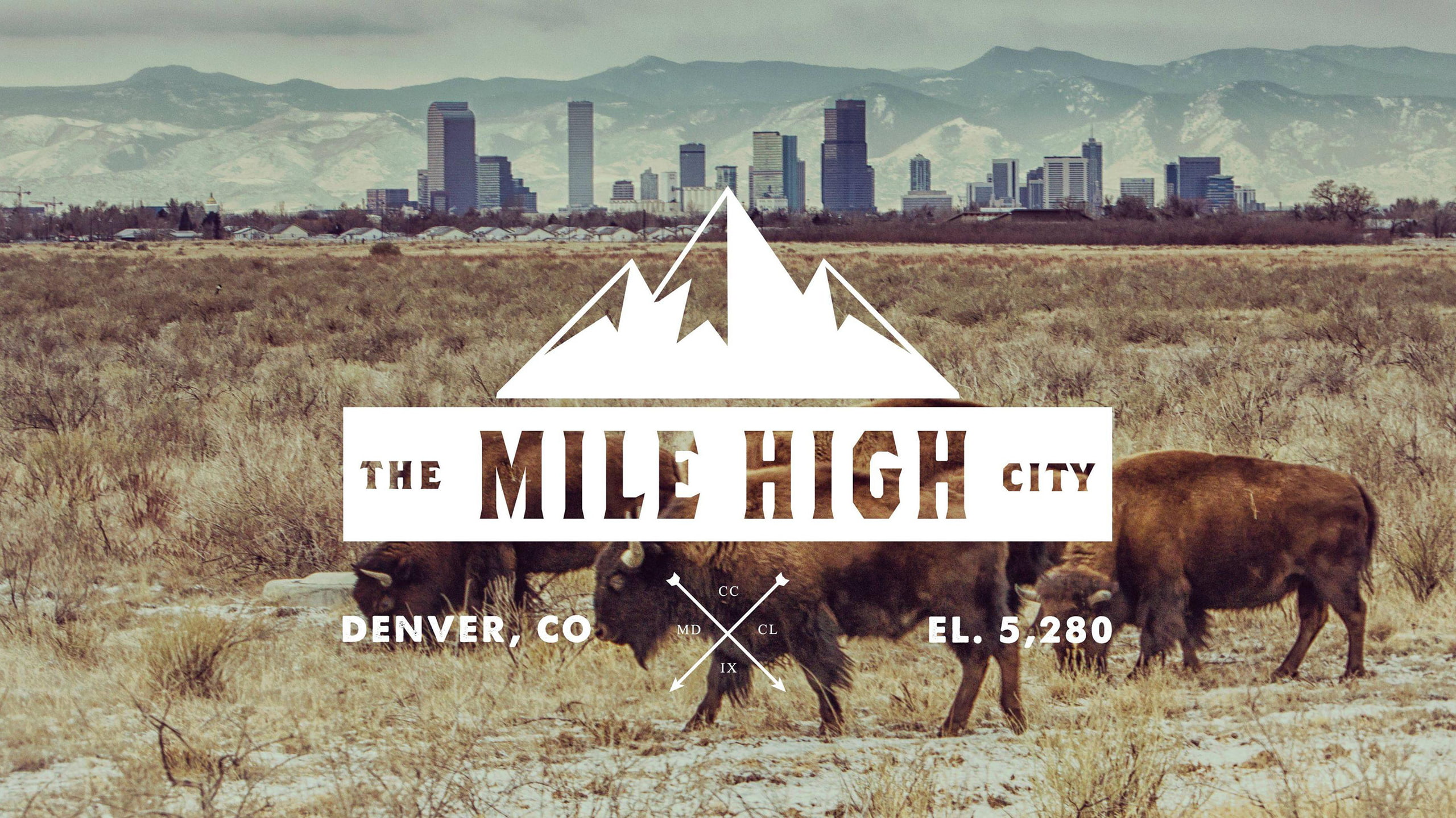 denver, 2K, cityscape, colorado, hd, buildings, buffalo, HD Wallpaper
