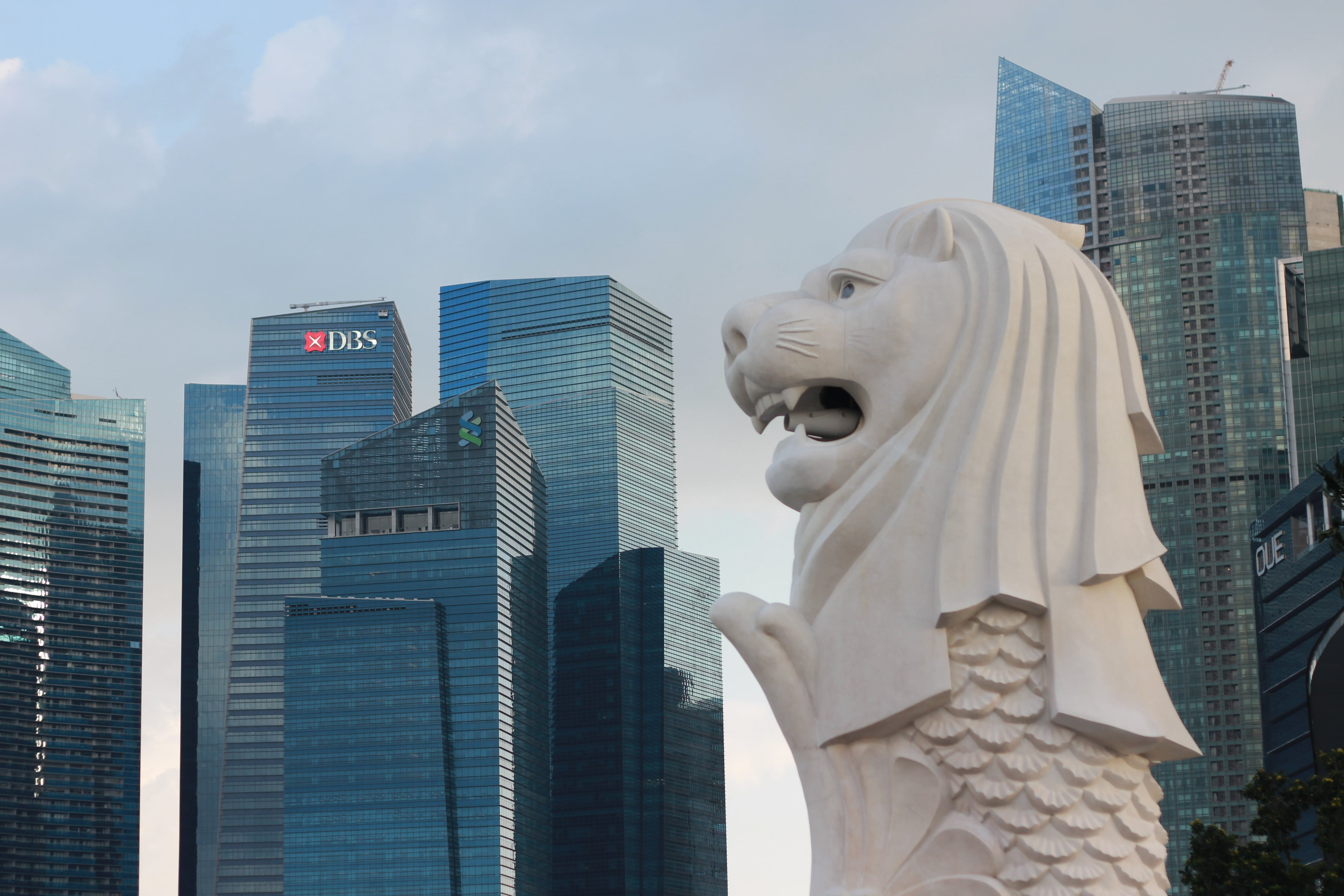 office, sculpture, art and craft, sea lion, day, modern, building, sky, singapore, nature, famous Place, fountain, skyscraper, architecture, building exterior, HD Wallpaper