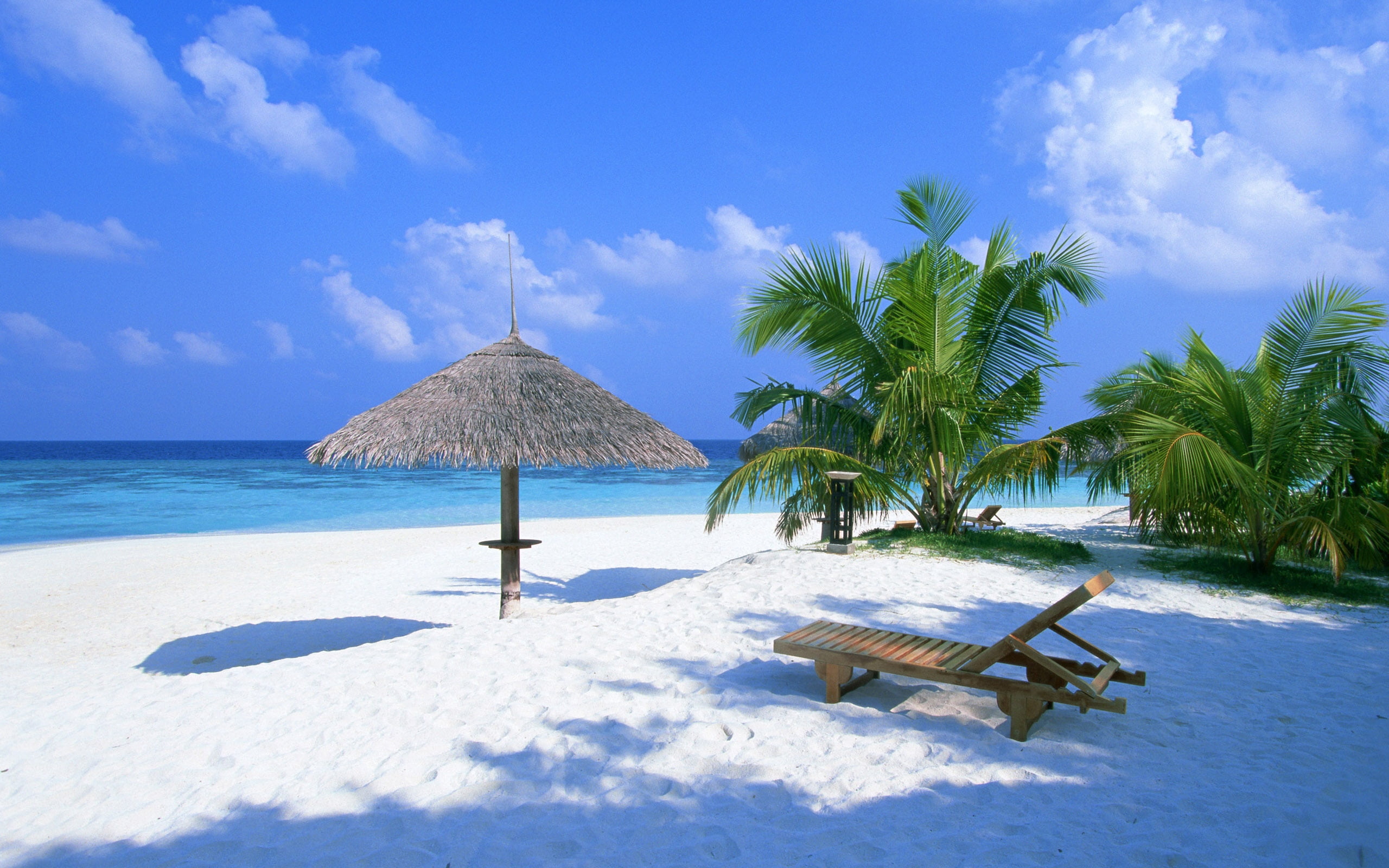 palm Tree, white, sea, caribbean Sea, outdoor chair, beauty In Nature, sun lounger, scenics - nature, beach, landscape, summer, outdoors, travel Destinations, HD Wallpaper