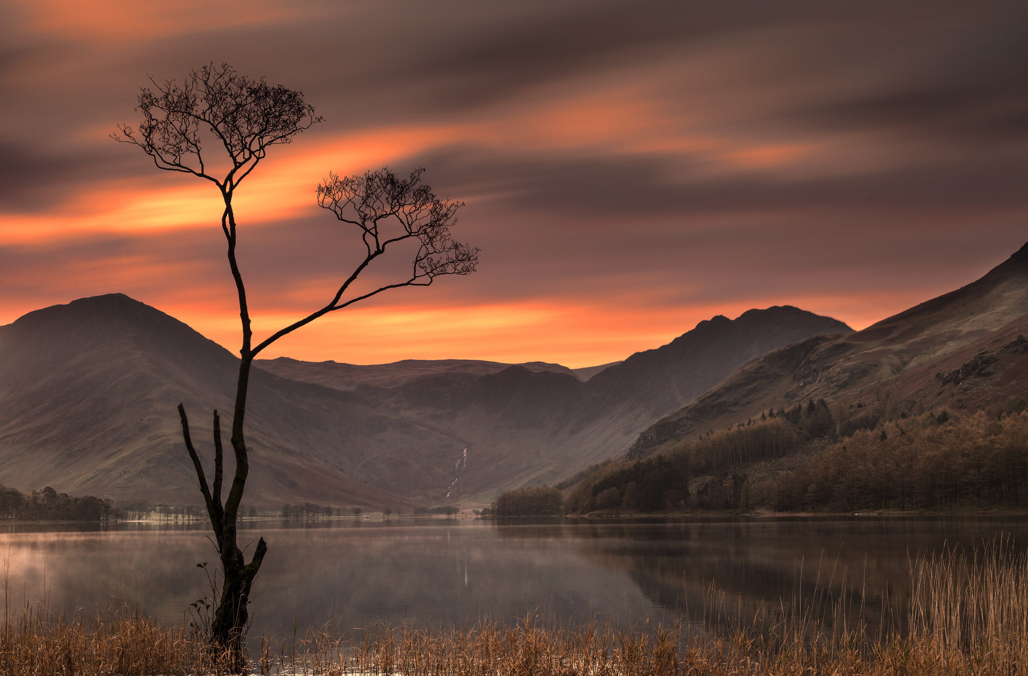 mountains, sunset, tree, 1080P, Buttermere Lake, The lake district, lake, Lake District, England, HD Wallpaper