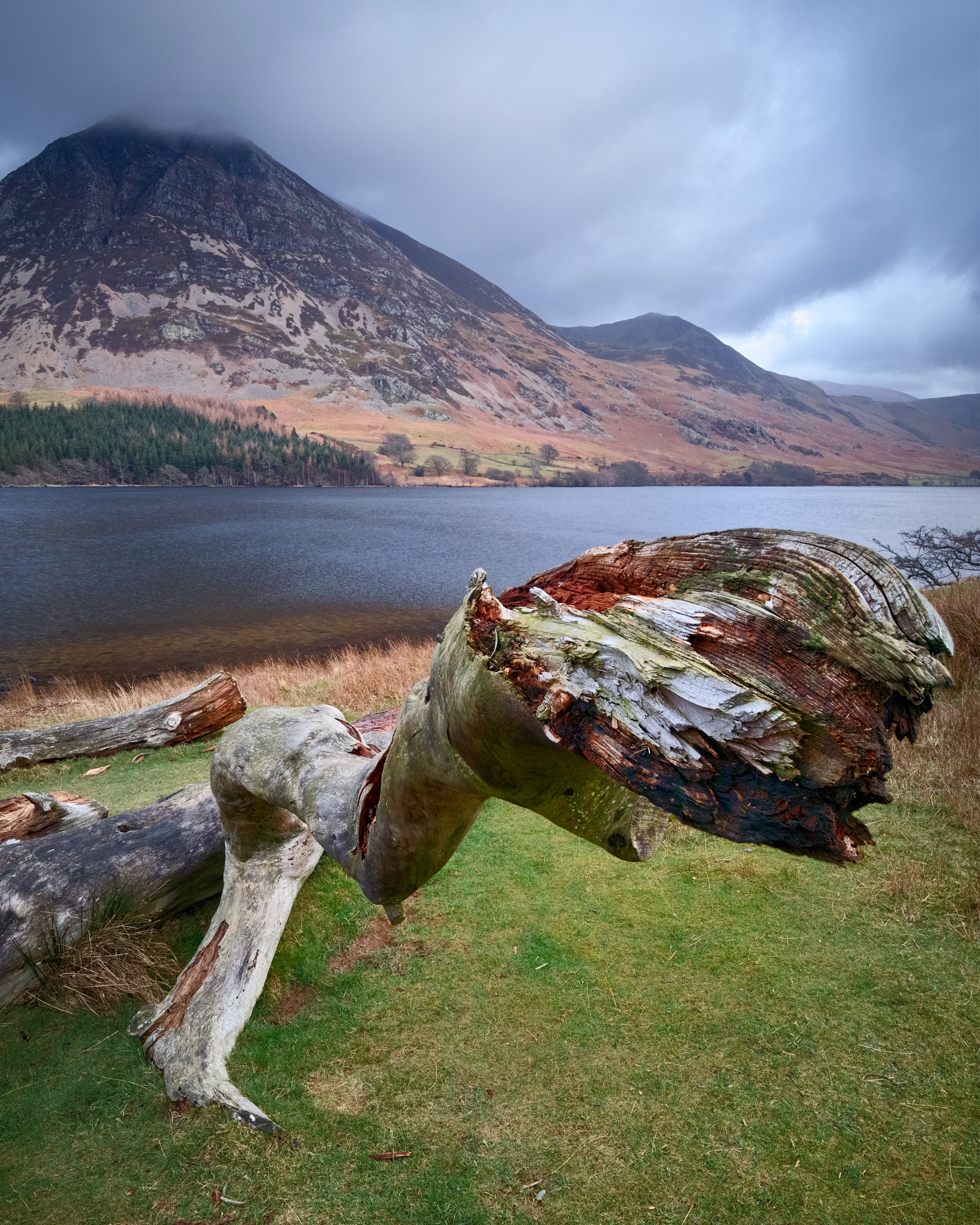 no people, tranquil scene, 4K, shore, landscape, scenics - nature, crummock water, uk, england, britain, plant, lake, buttermere, tranquility, tree, mountain, Phone HD Wallpaper