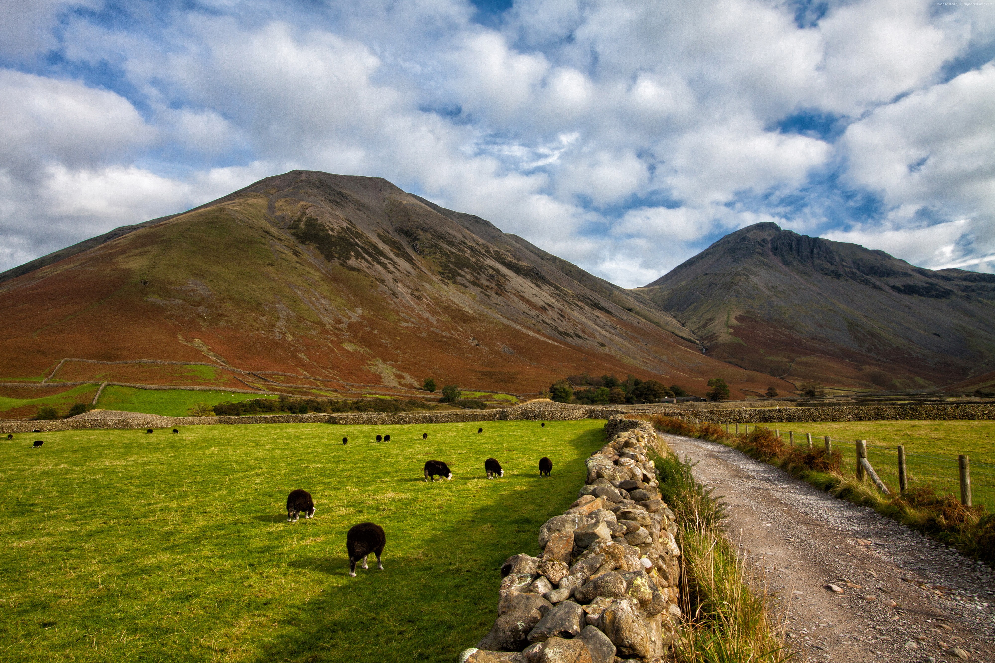 Lake District, 4K, 4k, meadows, England, goats, hills, Cumbria, National Park, 5k, HD Wallpaper