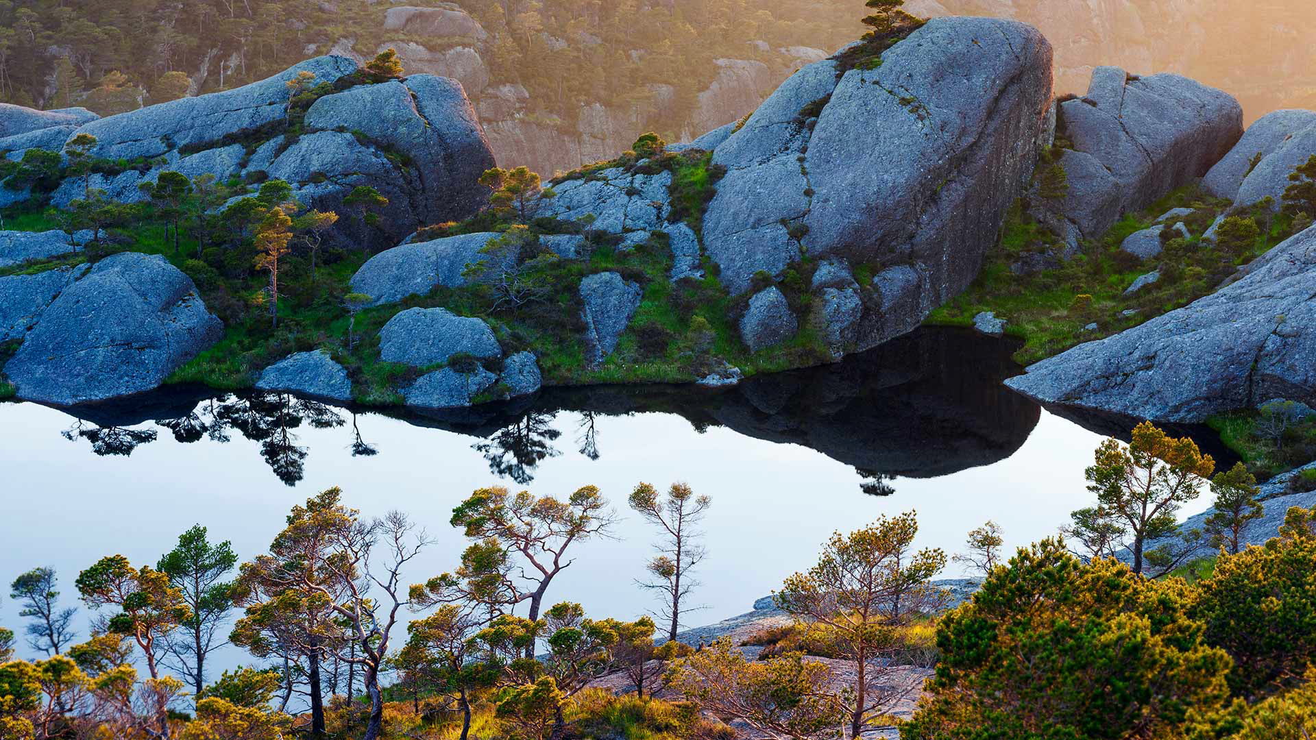 the island of Sula, Scots pine, Norway, Sogn og Fjordane, 1080P, HD Wallpaper