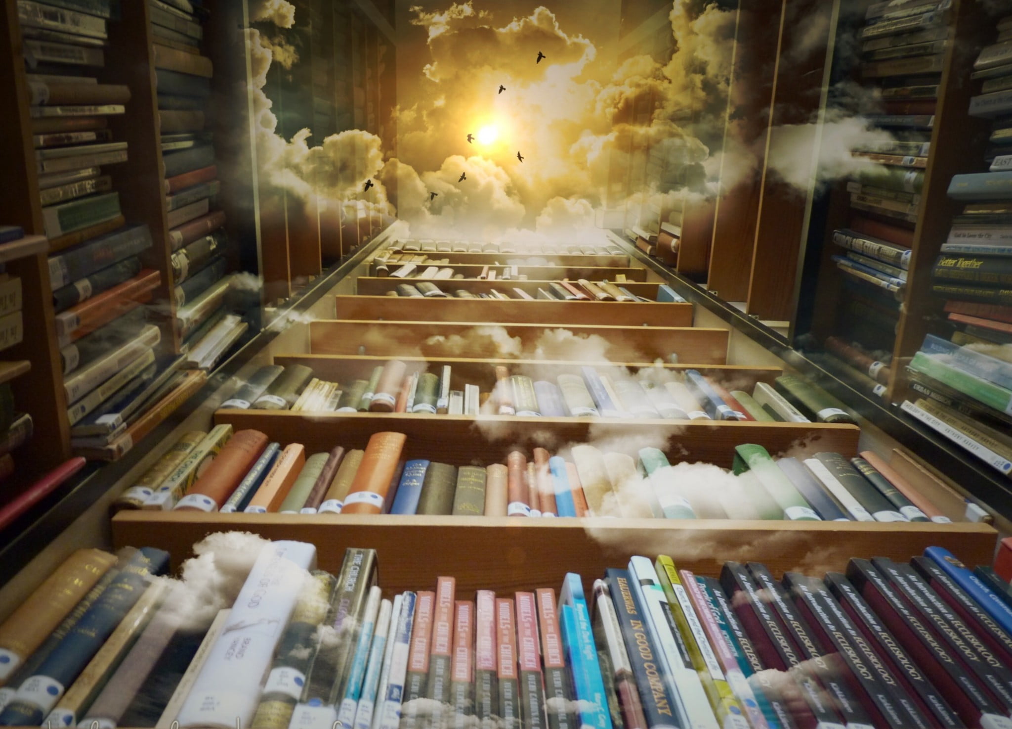 bookshelf, birds, illuminated, worms eye view, abundance, shelf, collection, large group of objects, publication, library, variation, clouds, low angle view, HD Wallpaper