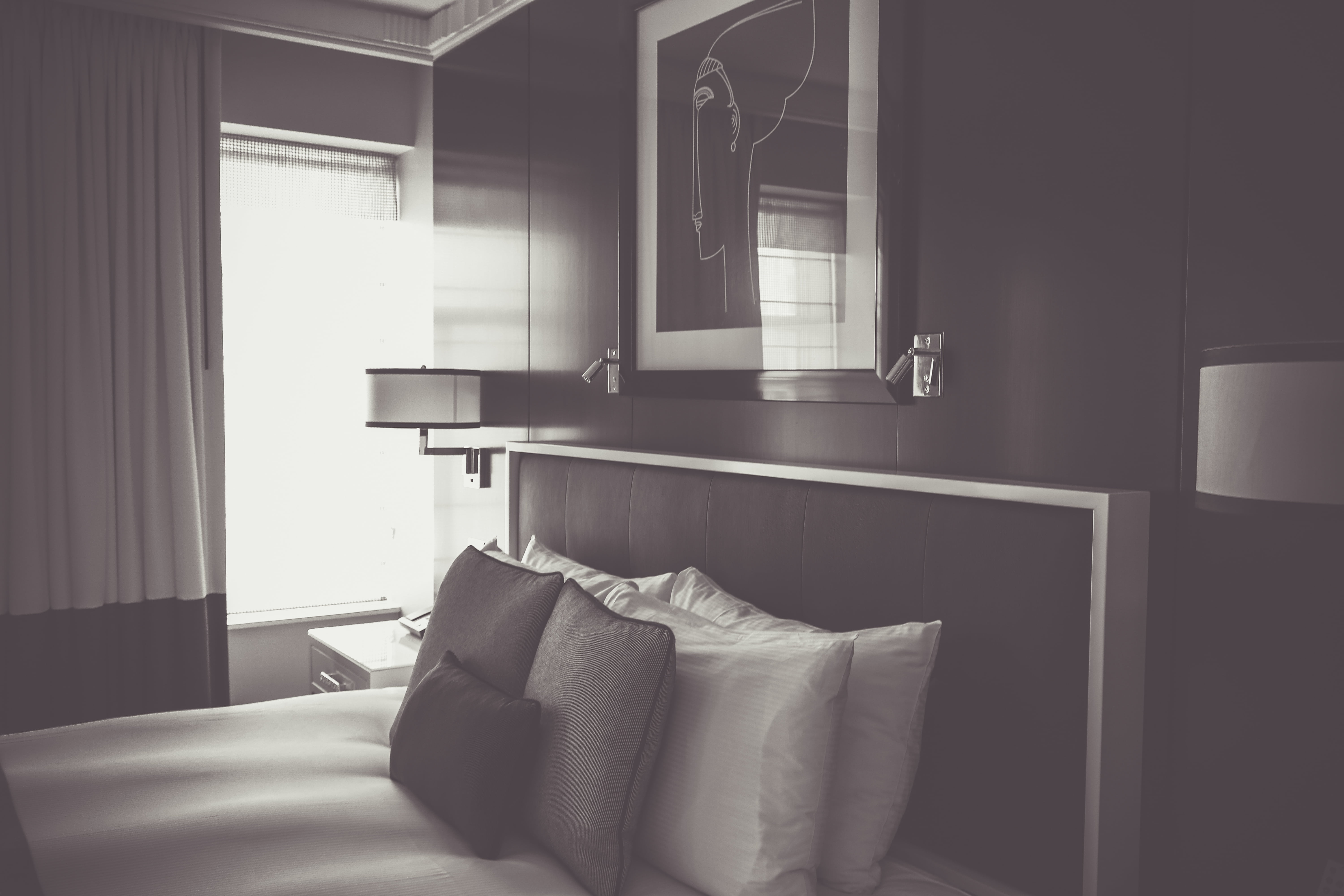 house, upscale, building, contemporary, hotel room, frame, inside, curtain, domestic room, 5K, lamp, comfortable, sunlight, lighting, indoors, sofa, home, HD Wallpaper