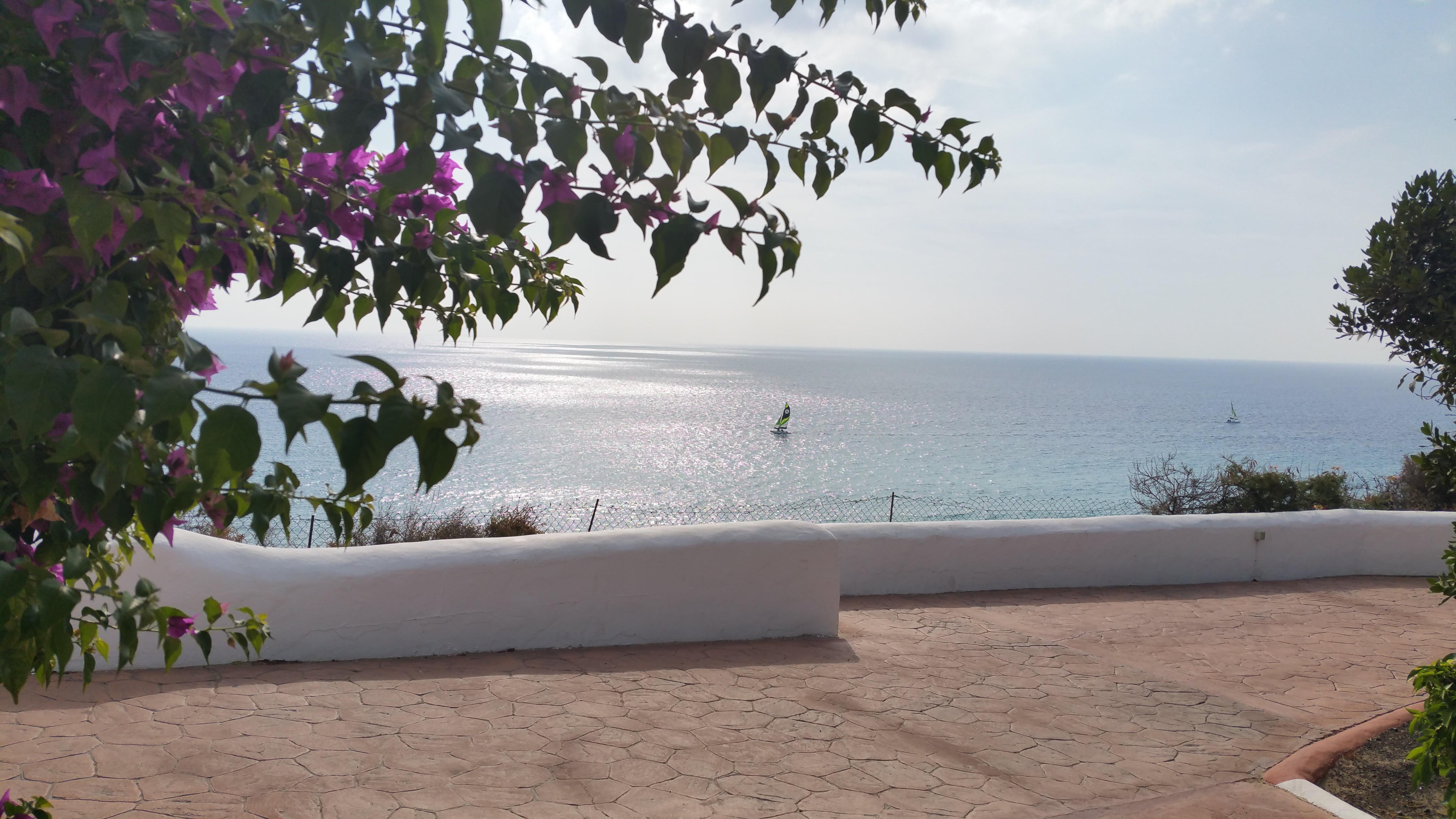 sun, plant, dream views, horizon, summer, architecture, sail, water, flowering plant, holiday, strandweg, spain, beach, 5K, ship, flower, sea, promenade, HD Wallpaper