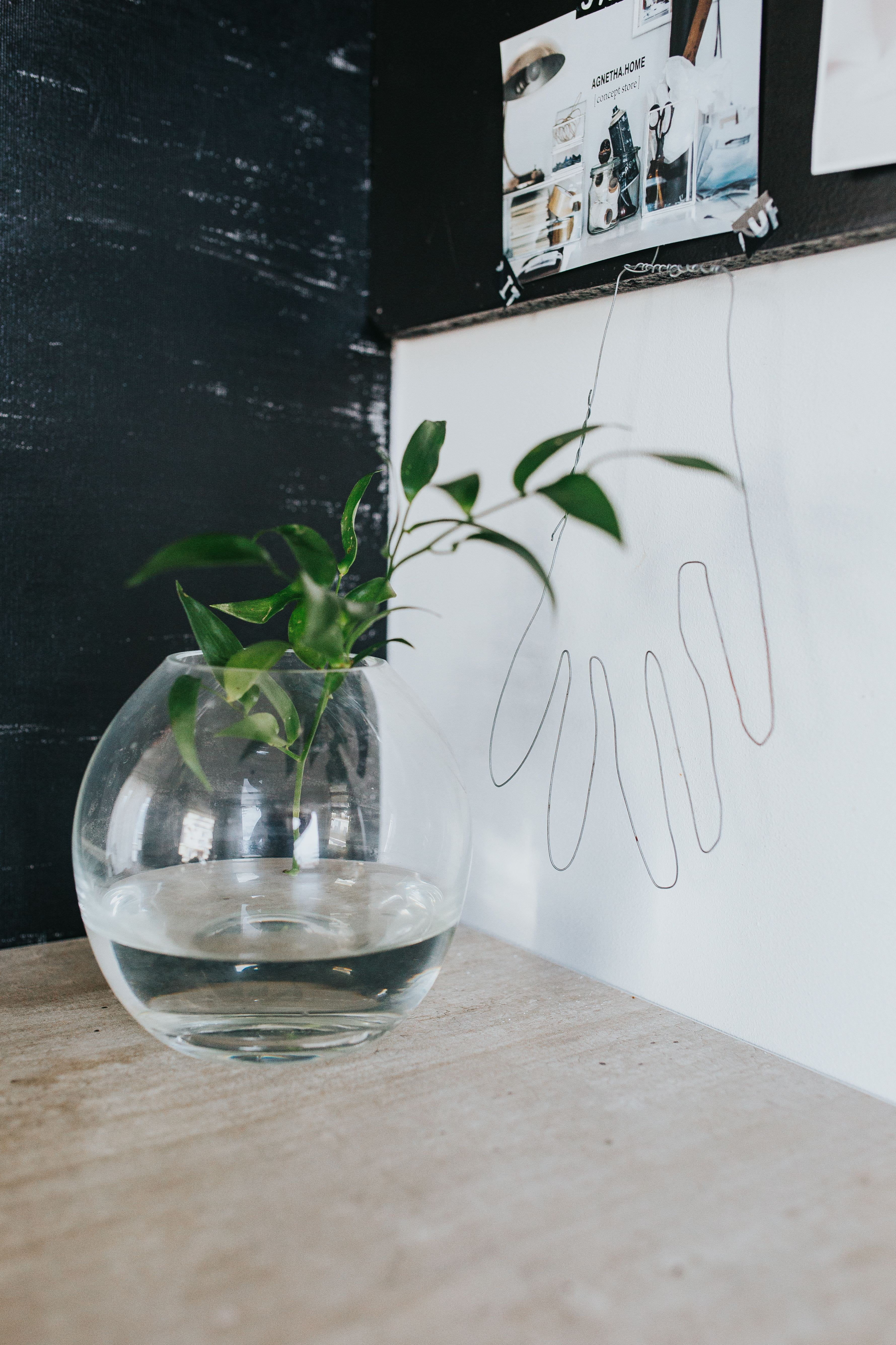 glass, business, no People, wood - Material, container, text, leaf, green color, 5K, communication, plant part, decoration, nature, decor, herb, indoors, Phone HD Wallpaper