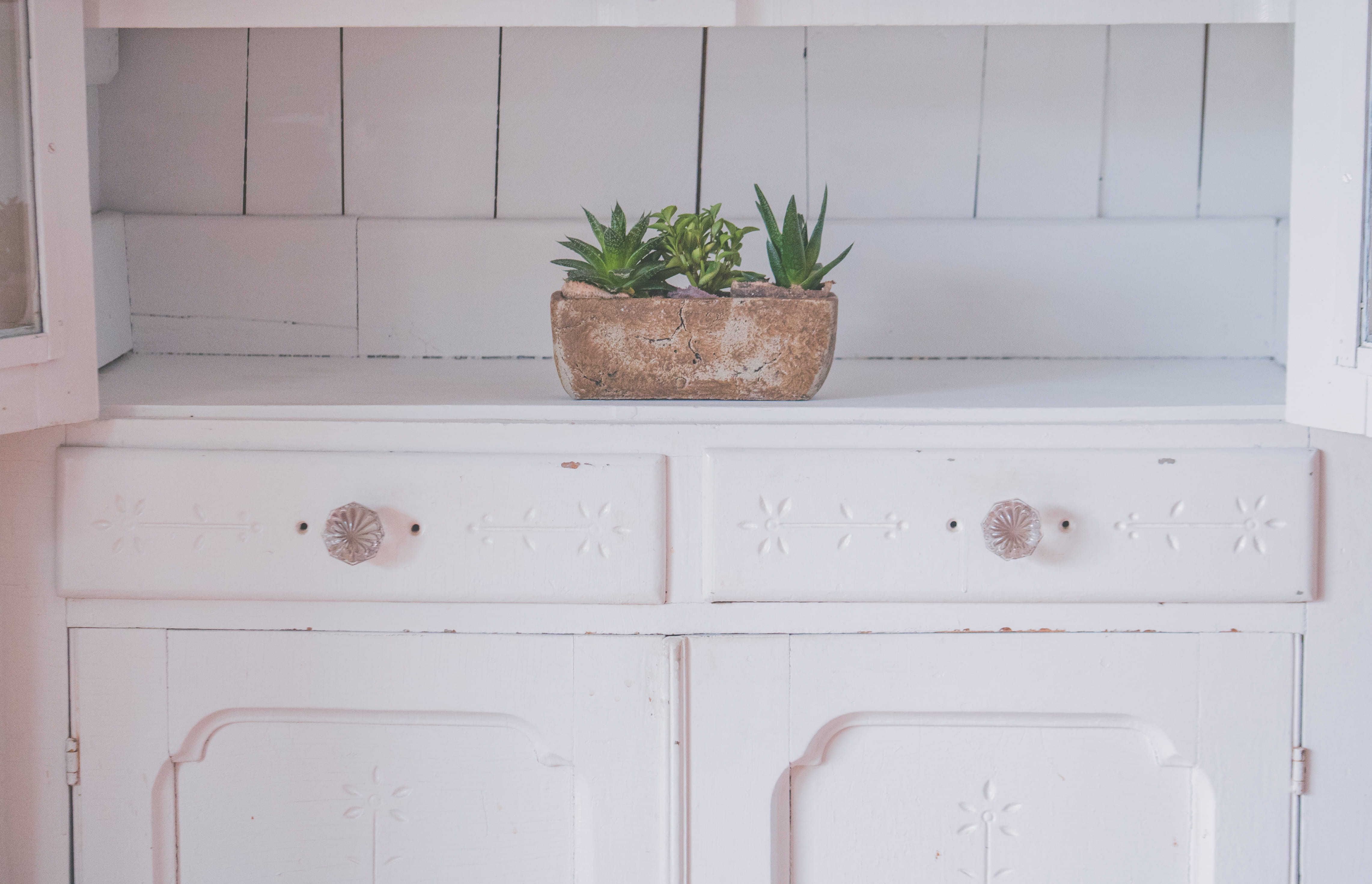 kitchen, counter, designer, drawers, houseplant, potted plant, day, white color, indoors, furniture, green, growth, snake, apartment, home interior, no people, HD Wallpaper