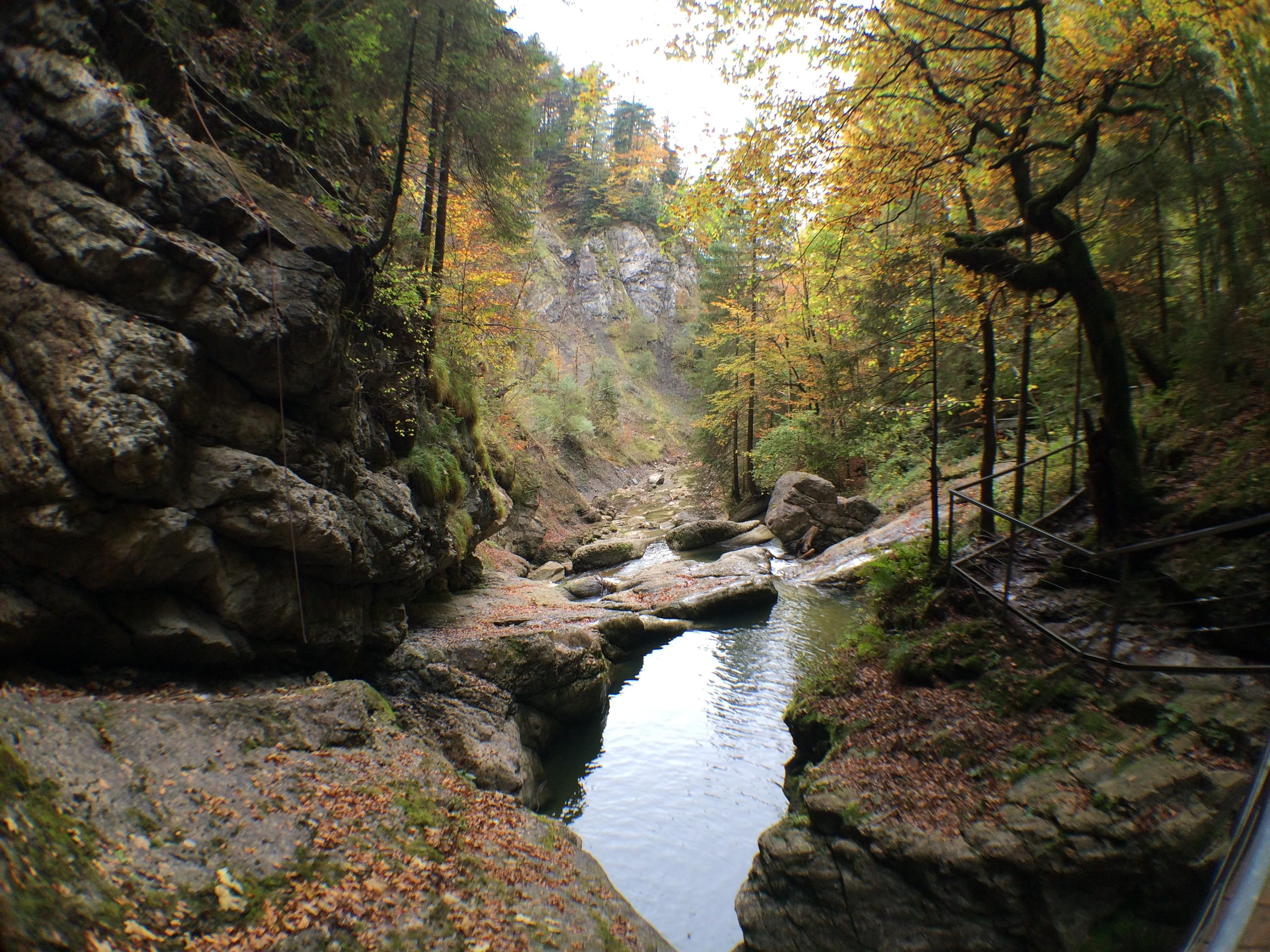 non-urban scene, scenics - nature, rock formation, tranquility, rock, woodland, land, Bach, stream - flowing water, flowing, nature, scenics, flowing water, HD Wallpaper