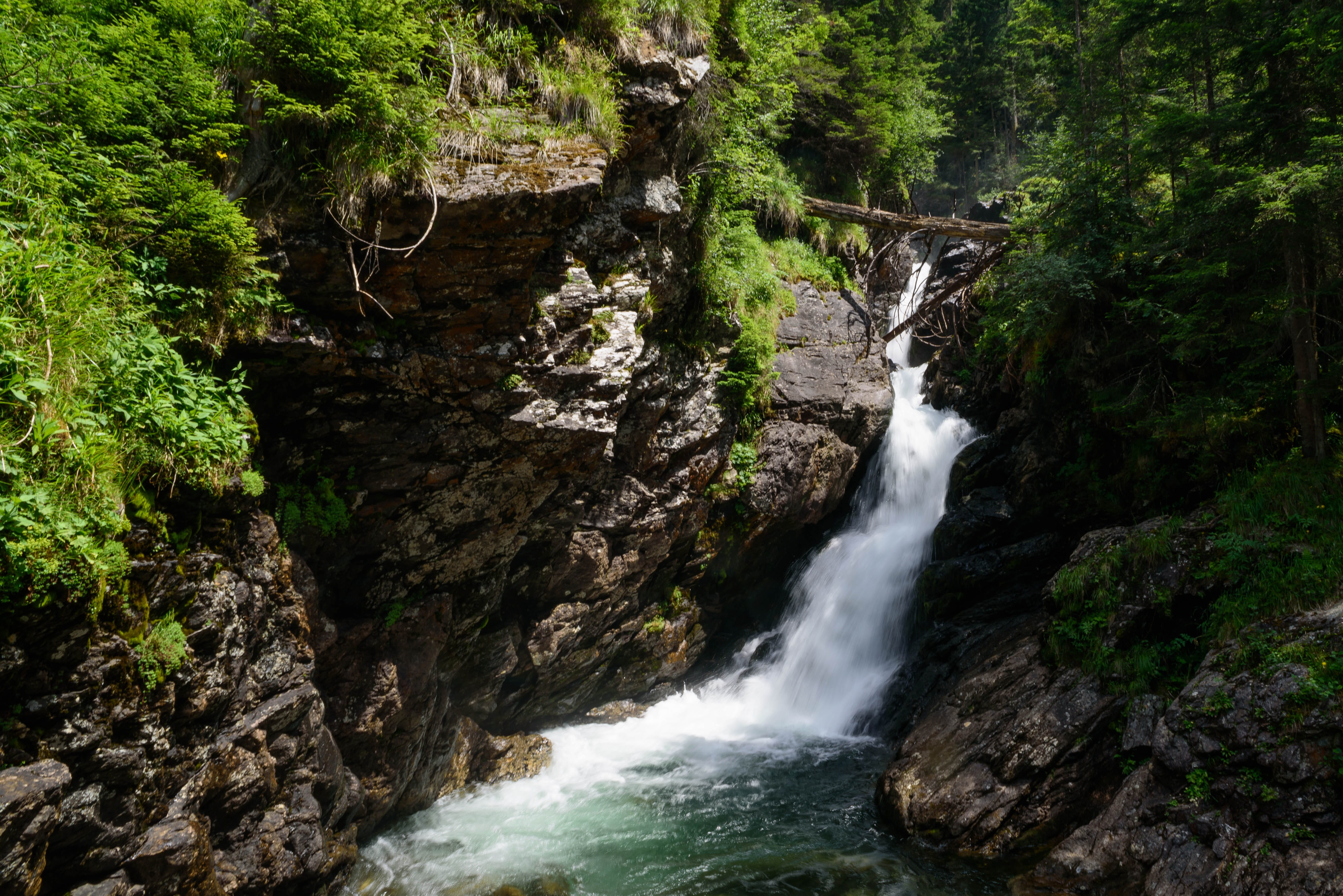 racing, outdoors, beauty in nature, flowing, no people, waters, river, 5K, motion, land, forest, cold, Bach, murmur, water running, waterfalls, rock - object, HD Wallpaper