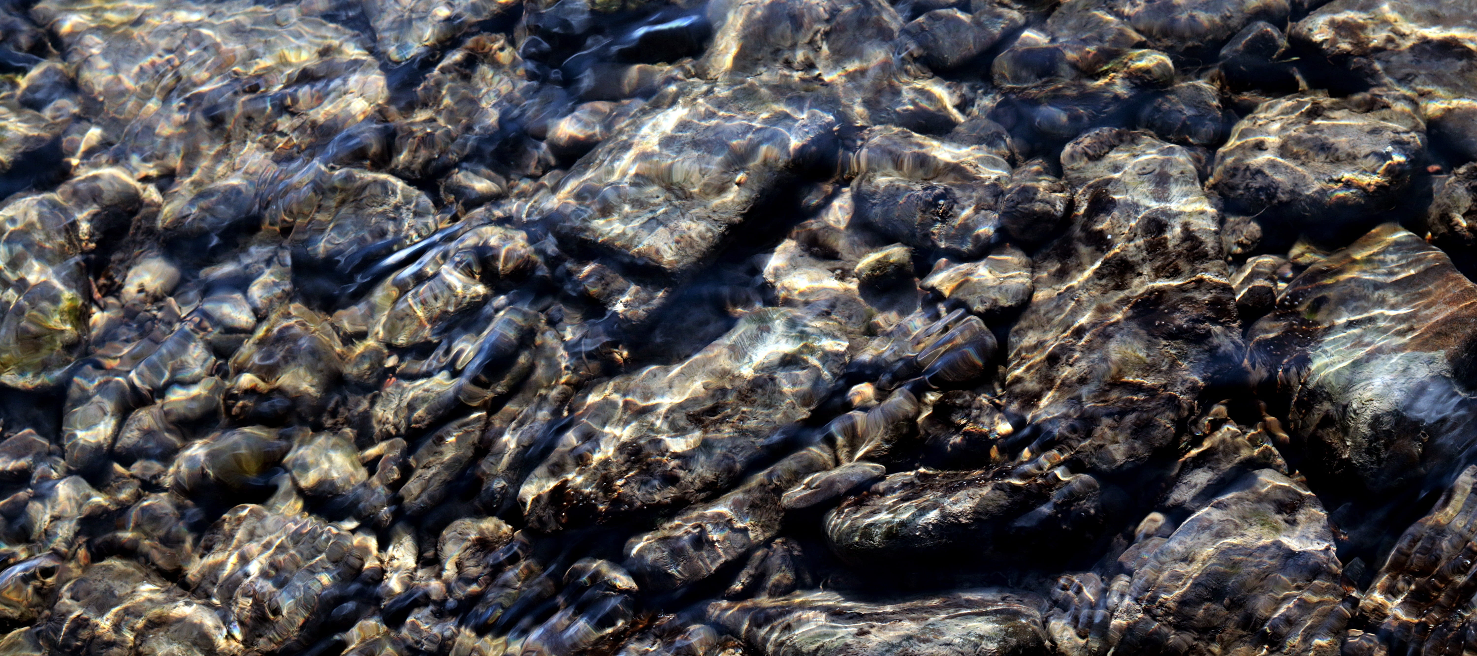 group of animals, geology, pebbles, pebble, bank, outdoors, gray, no people, rock - object, animal wildlife, sea, nature, background, river, marine, full frame, HD Wallpaper