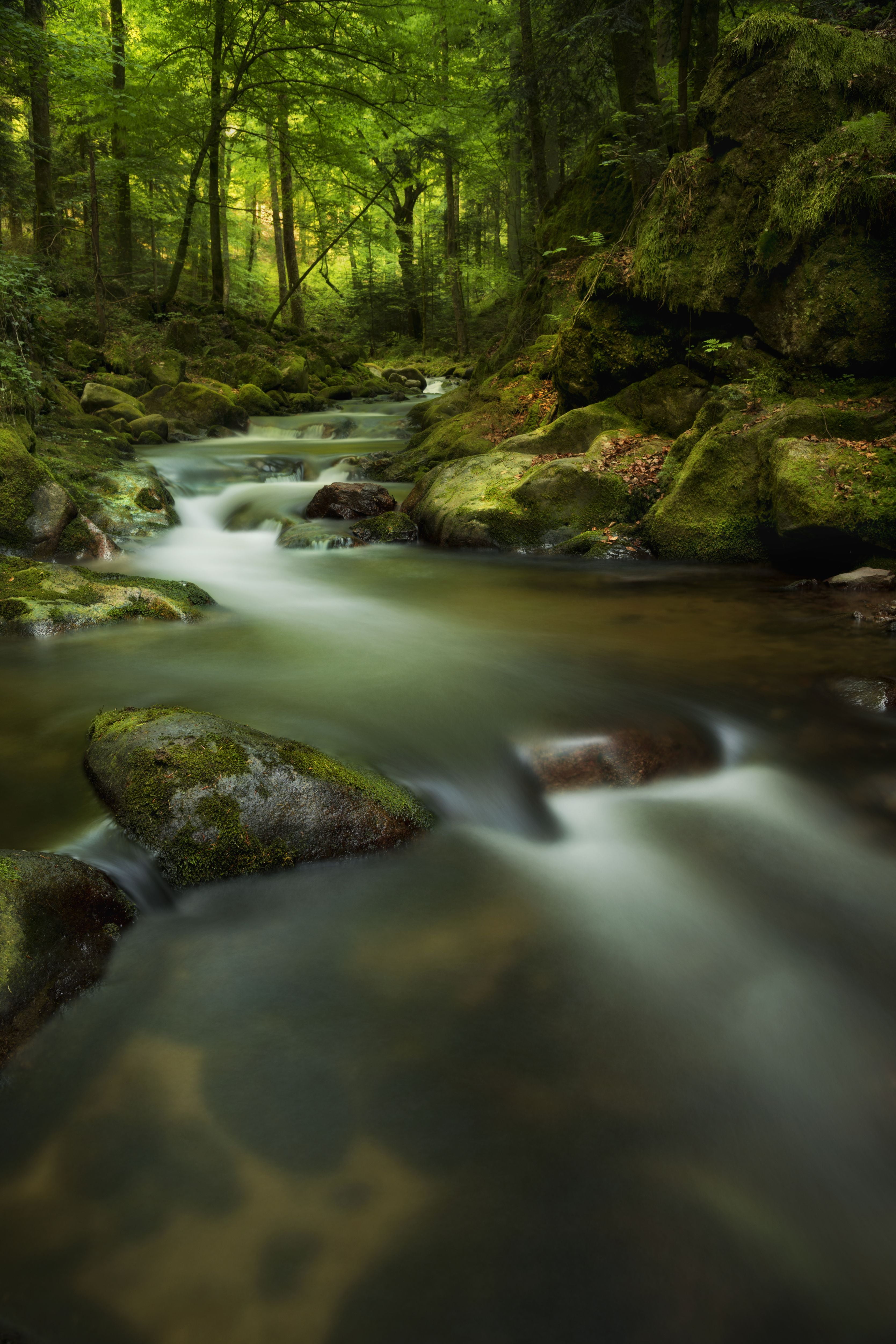 flowing, river, outdoors, Baden  Baden, Baden-Württemberg, Beauty, daytime, flowing Water, freshness, cascades, forest, clean  clear, inside, scenics, 4K, Phone HD Wallpaper