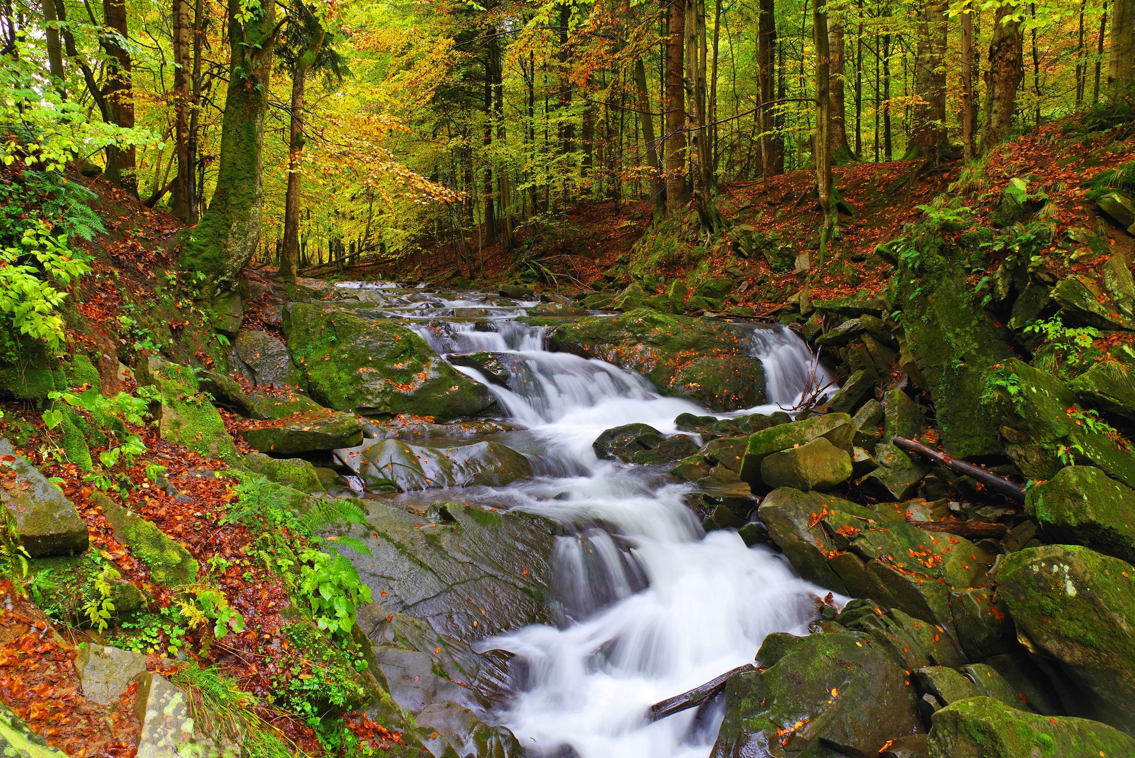 tree, no people, cascade, scenics - nature, flowing water, solid, landscape, holidays, bieszczady, tranquil scene, forest, motion, tranquility, poland, HD Wallpaper