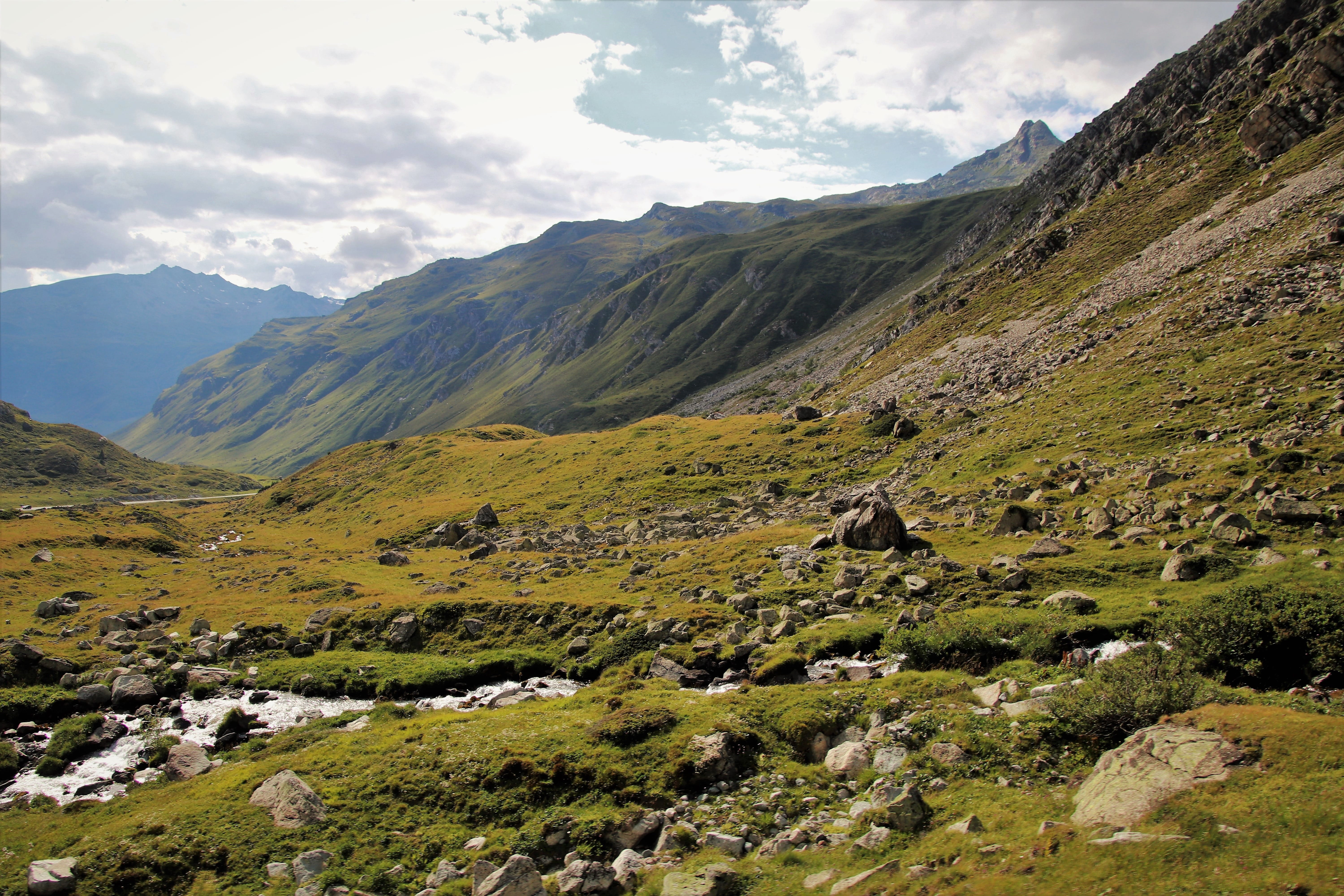 high, rock, landscape, mountain, mountain range, idyllic, environment, non-urban scene, peak, tranquil scene, meadow, alpine, figure, no people, mammal, HD Wallpaper