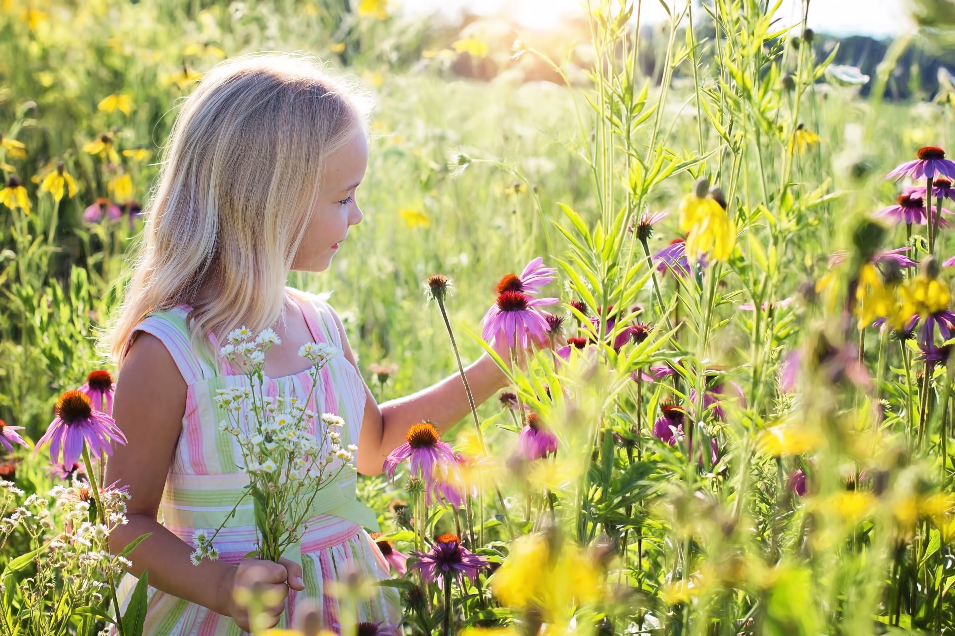 kid, daisy, stripe, flowering plant, happy, wildflowers, neck, leisure activity, blossoms, close, nature, hairstyle, photo, lifestyles, women, child, hair, HD Wallpaper