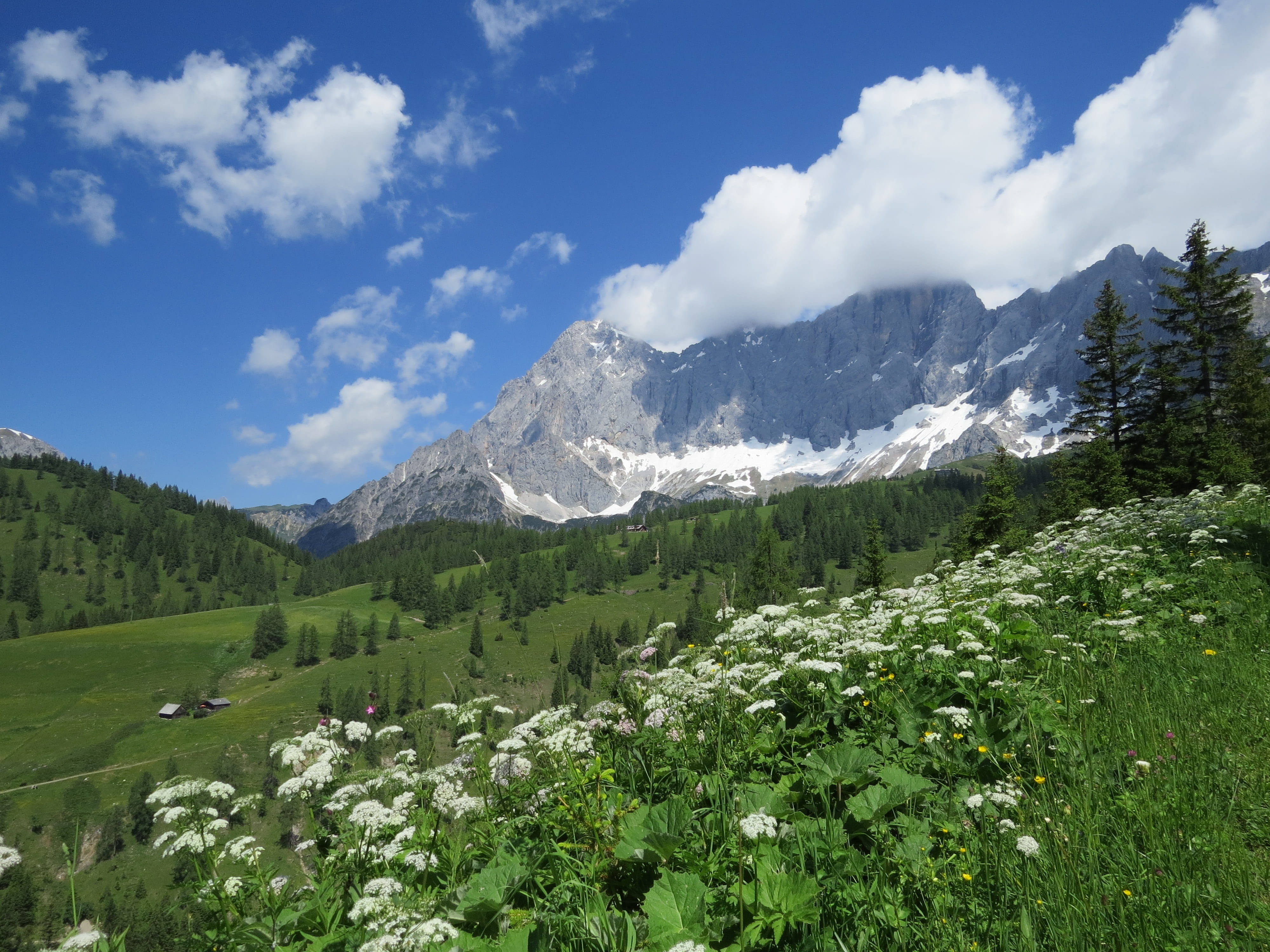 mountain peak, range, growth, landscape, plant, non-urban scene, view, hiking, no people, clouds, mountain, nature, cloud - sky, dachstein, alm, sky, scenics - nature, HD Wallpaper