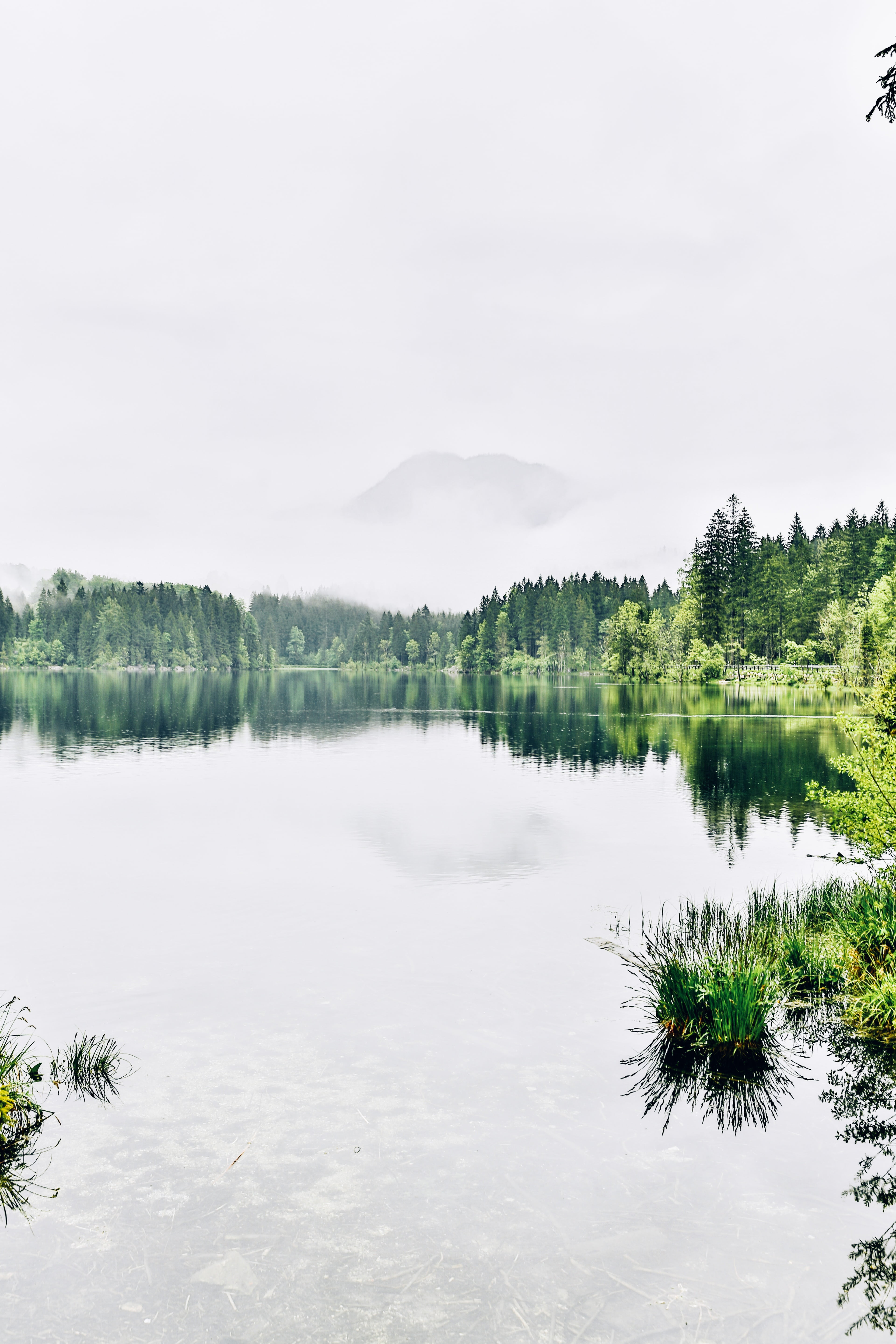 non-urban scene, day, hintersee, forest, scenics - nature, foothills of the alps, daytime, outdoors, mountain landscape, reflection lake, idyllic, tranquility, Phone HD Wallpaper