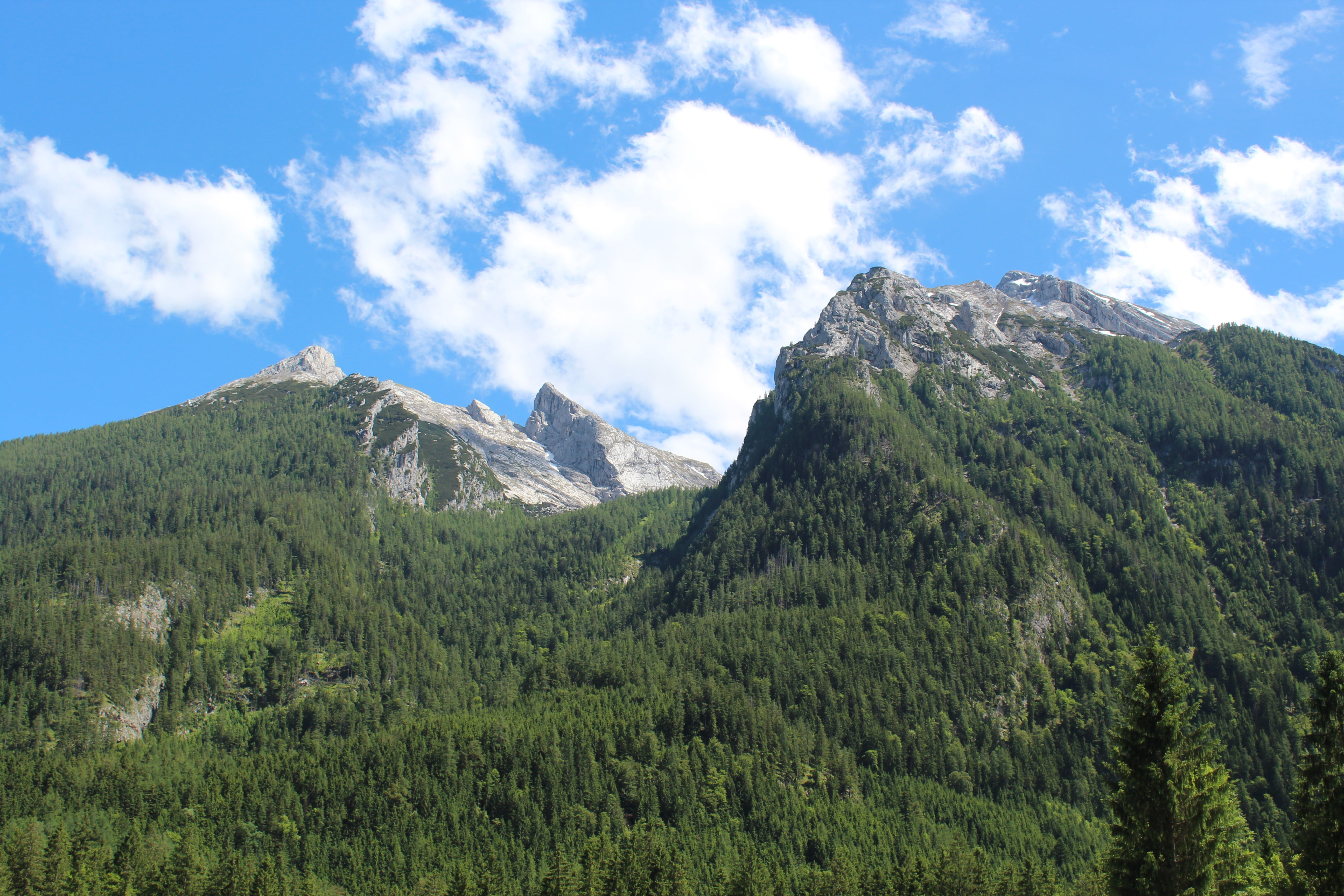 meadow, mountain Peak, summer, europe, trees, no People, beauty In Nature, hiking, travel, sky, tranquility, outdoors, valley, cloud - Sky, non-urban scene, HD Wallpaper