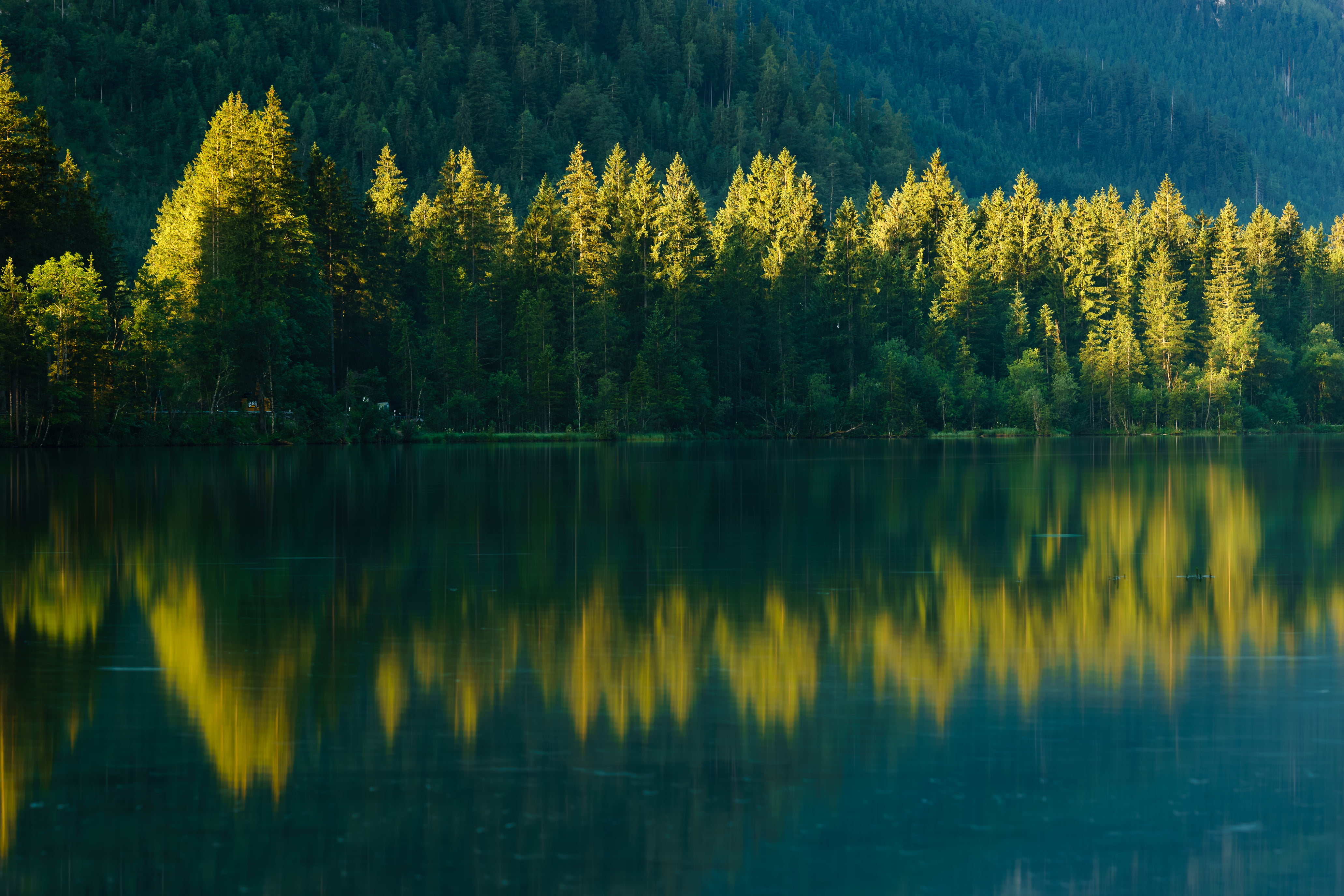body, Urlaub, woodland, tree, landscape, Licht, Bäume, near, Hintersee, Trees, Bavaria, reflection, Holiday, Berchtesgadener Land, Bayern, Alps  Mountains, HD Wallpaper