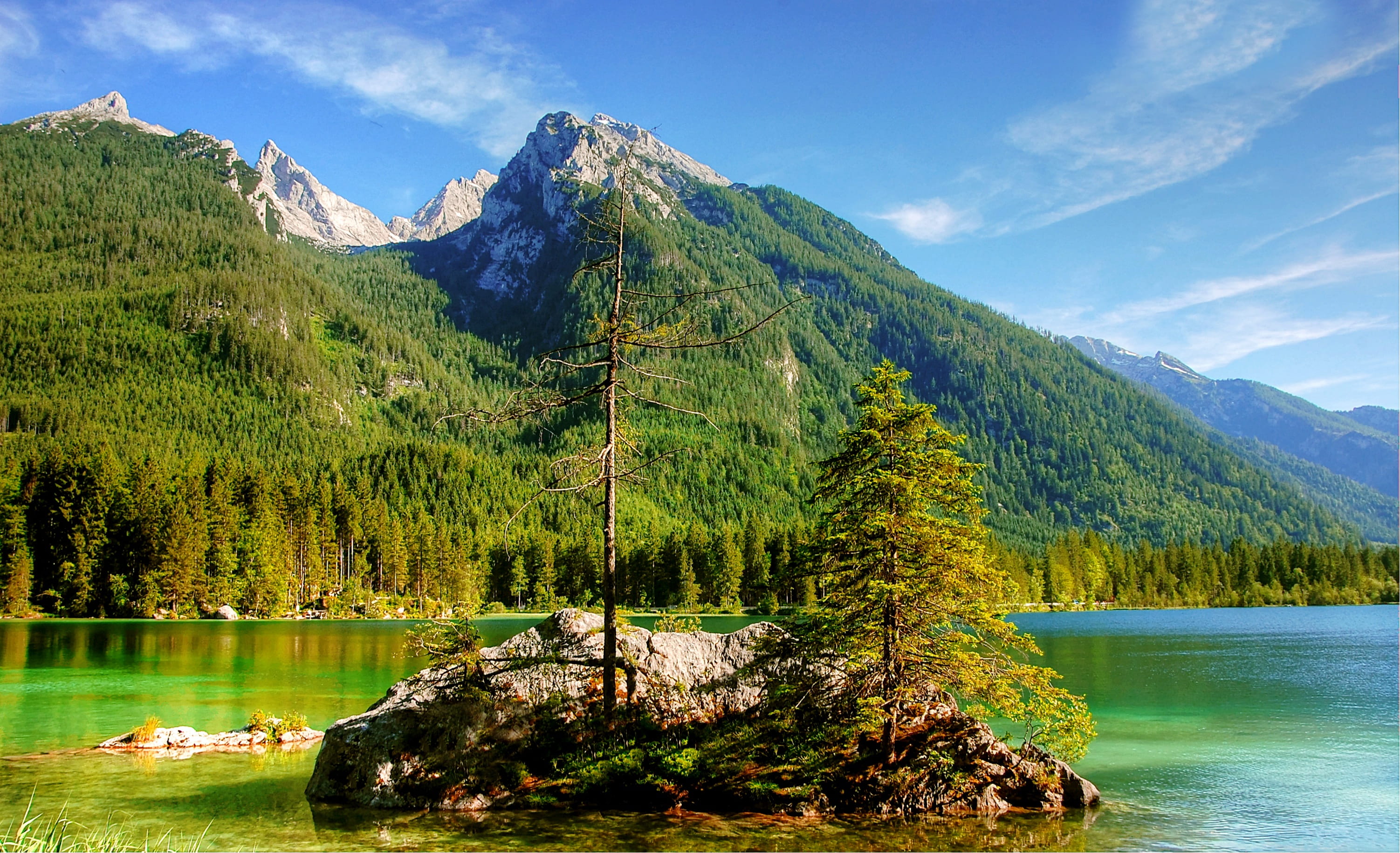 outdoors, green color, national park, sky, panorama, forest, day, summit, mountain range, upper bavaria, reflection, plant, water, summer, tree, hintersee, HD Wallpaper