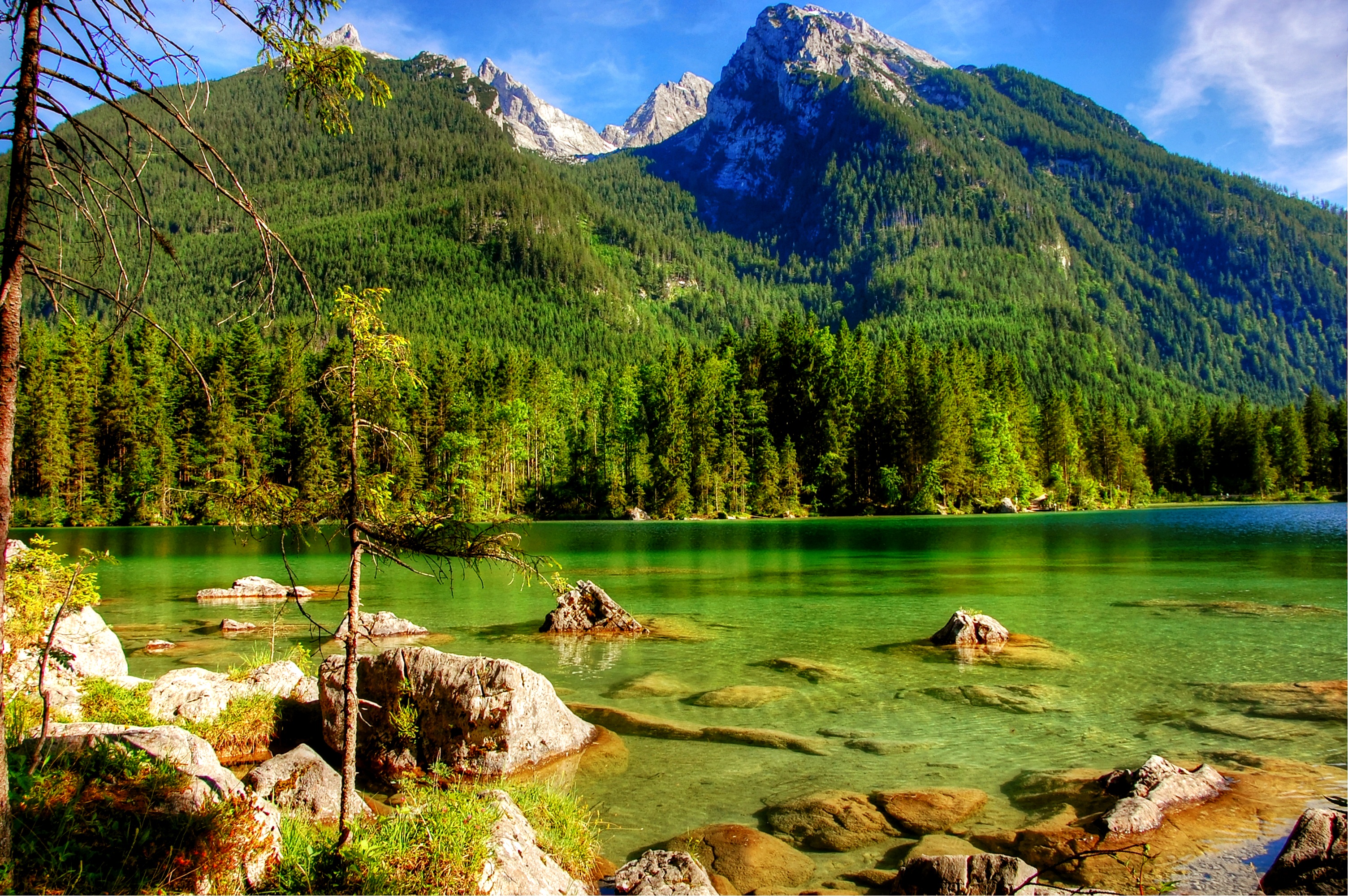 berchtesgaden, nature park, mood, plant, adventure, no people, green color, view, places of interest, forest, viewpoint, mountains, holiday, mountain, landscape, HD Wallpaper