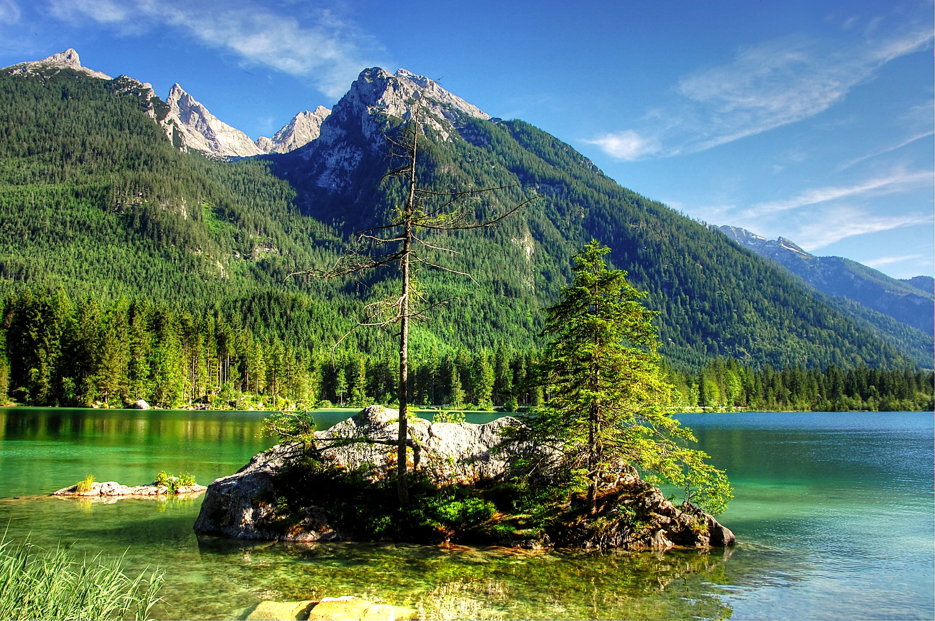 alpine, bavaria, rock, green color, day, summer, 2K, forest, tranquil scene, vacations, ramsau, berchtesgaden, coniferous tree, pine woodland, panorama, HD Wallpaper