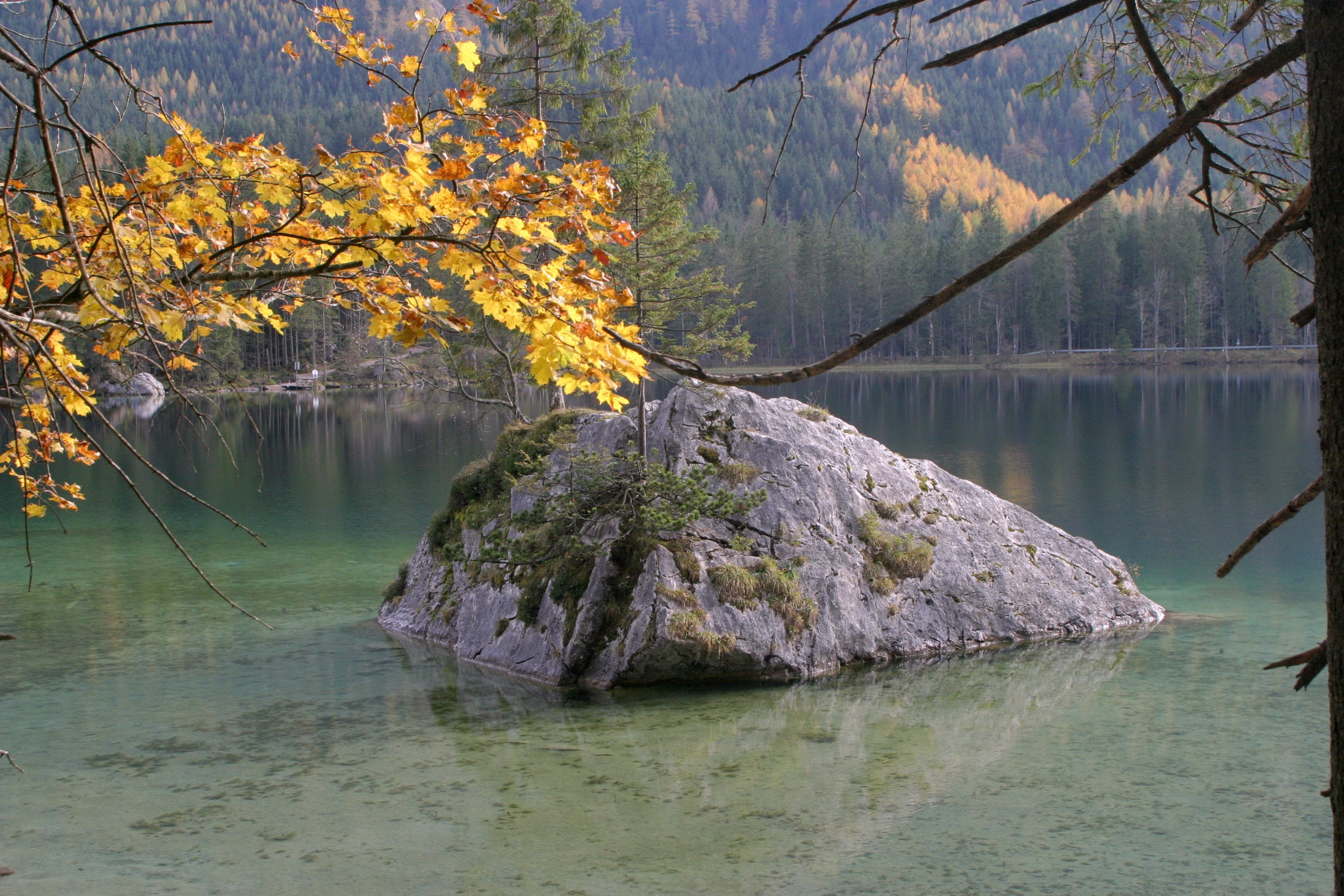beauty in nature, waterfront, tree, autumn collection, berchtesgaden national park, fall foliage, tranquil scene, nature, mood, 2K, panorama, forest, ramsau, HD Wallpaper