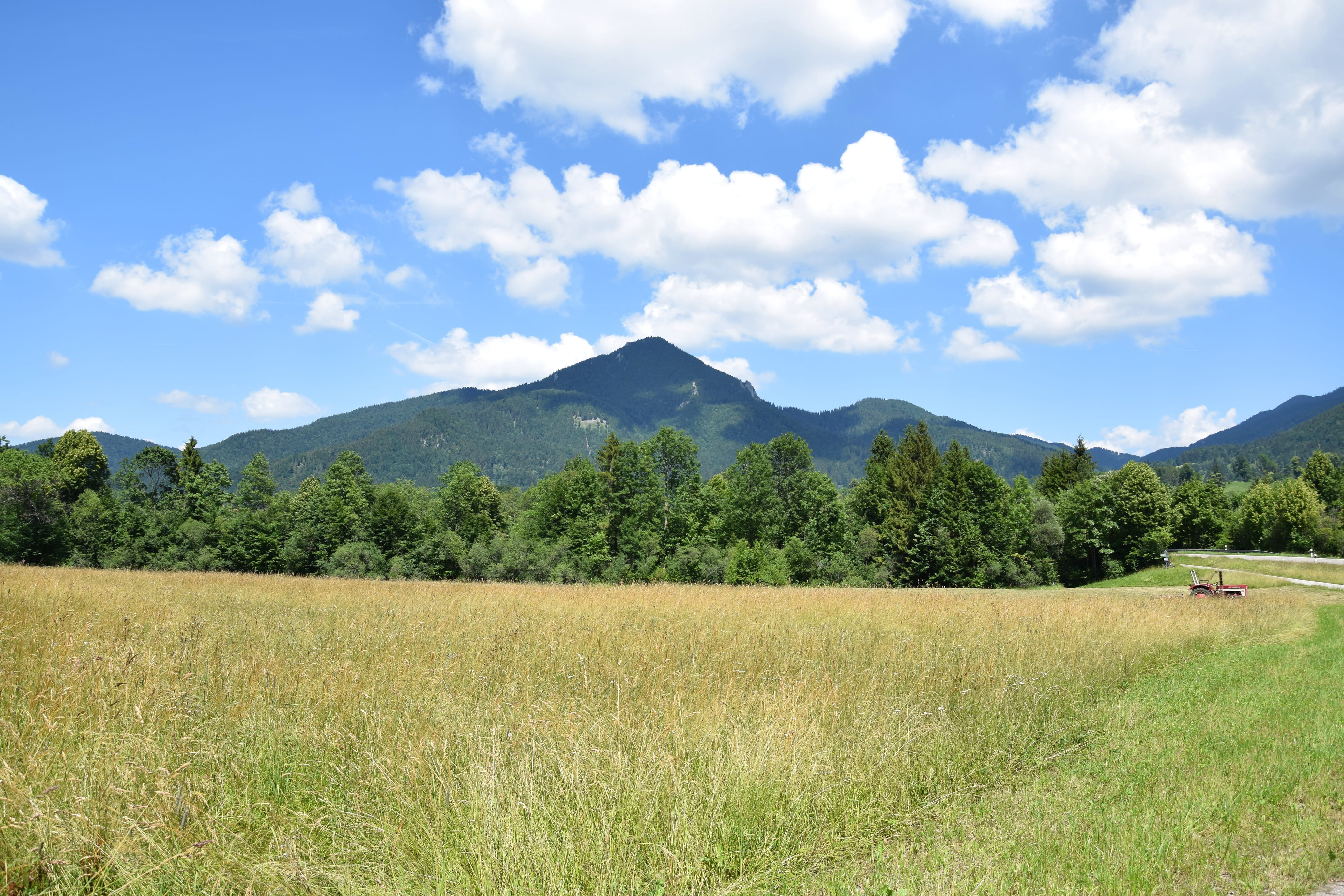 summer, day, bavaria, land, growth, mountain range, plant, sky, non-urban scene, panorama, tree, environment, foothills of the alps, landscape, green color, HD Wallpaper