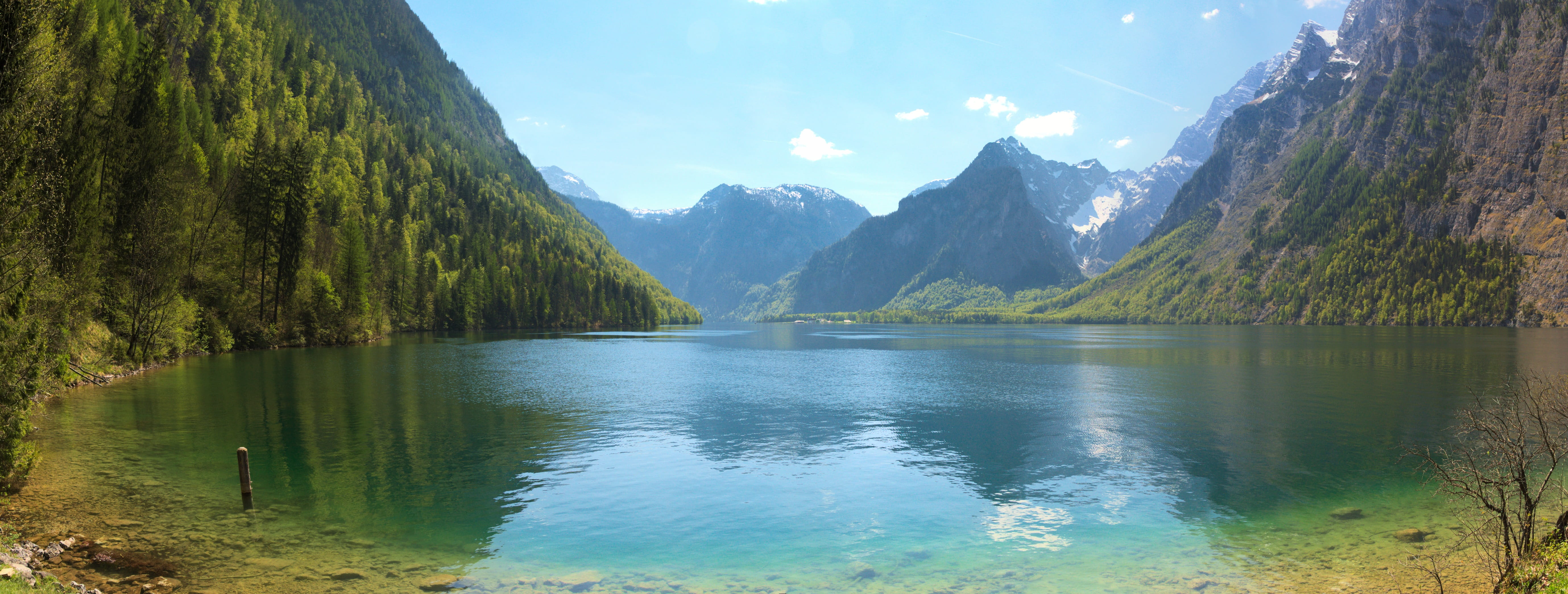 forest, no people, berchtesgaden national park, pine tree, berchtesgaden alps, scenics - nature, mountain range, scenics, mountain peak, reflection, coniferous tree, HD Wallpaper