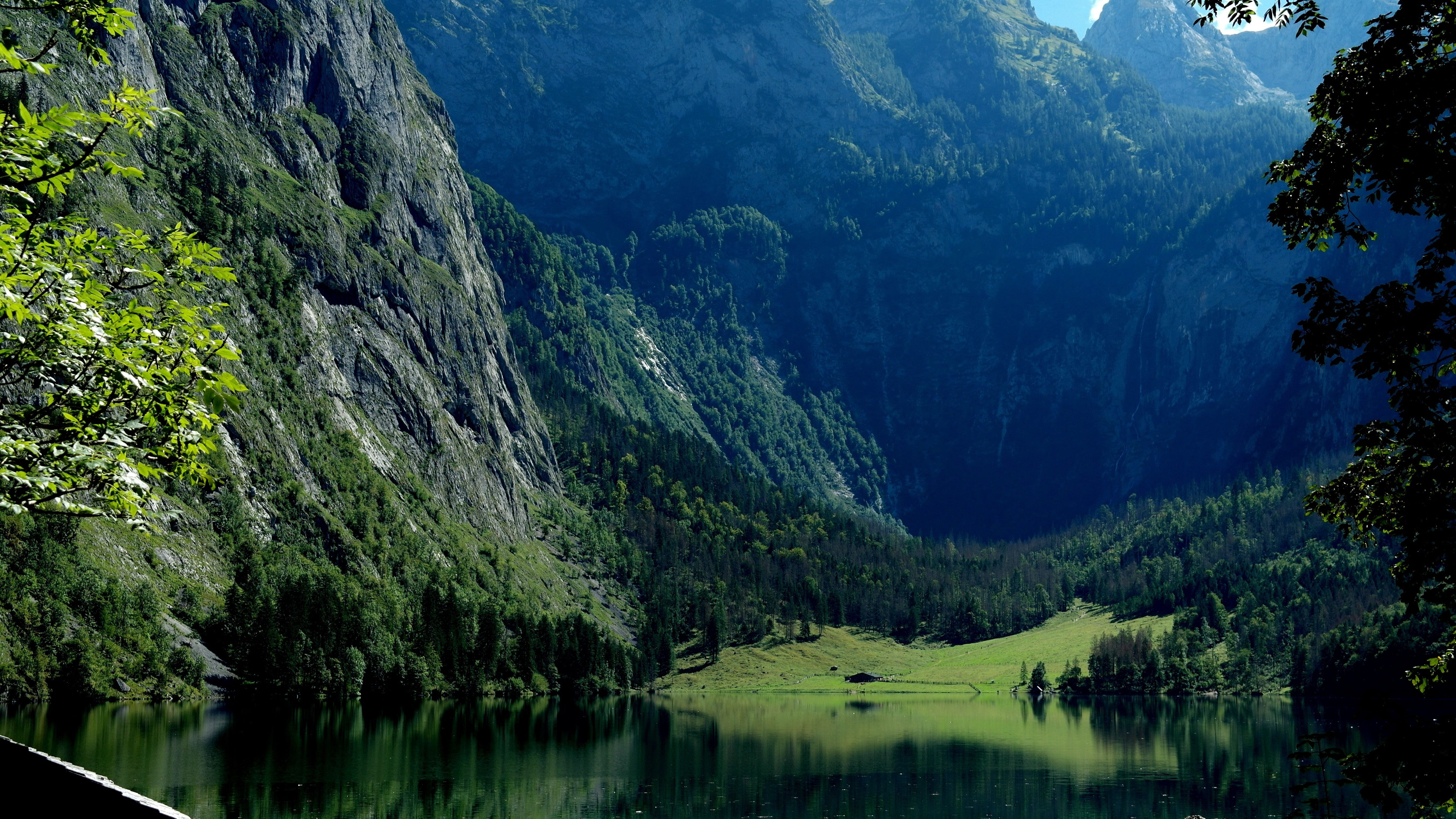 landscape, near, outdoors, no people, forest, idyllic, solid, 5K, plant, scenics - nature, massif, beauty in nature, daytime, pine tree, berchtesgaden alps, HD Wallpaper
