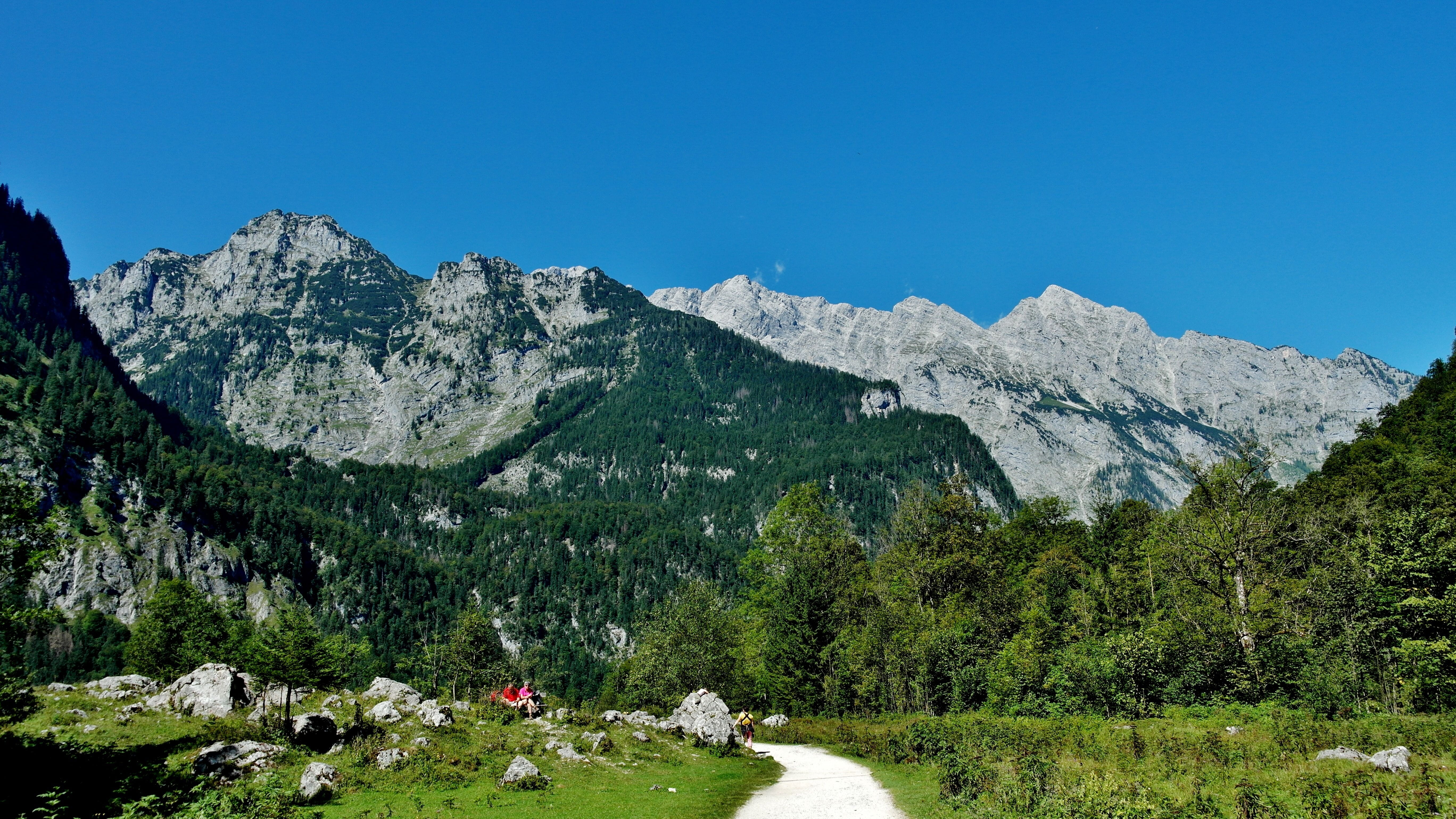 view, mountain, mountain peak, pine woodland, watzmannostwand, travel destinations, tranquility, solid, berchtesgaden national park, blue, landscape, massif, HD Wallpaper