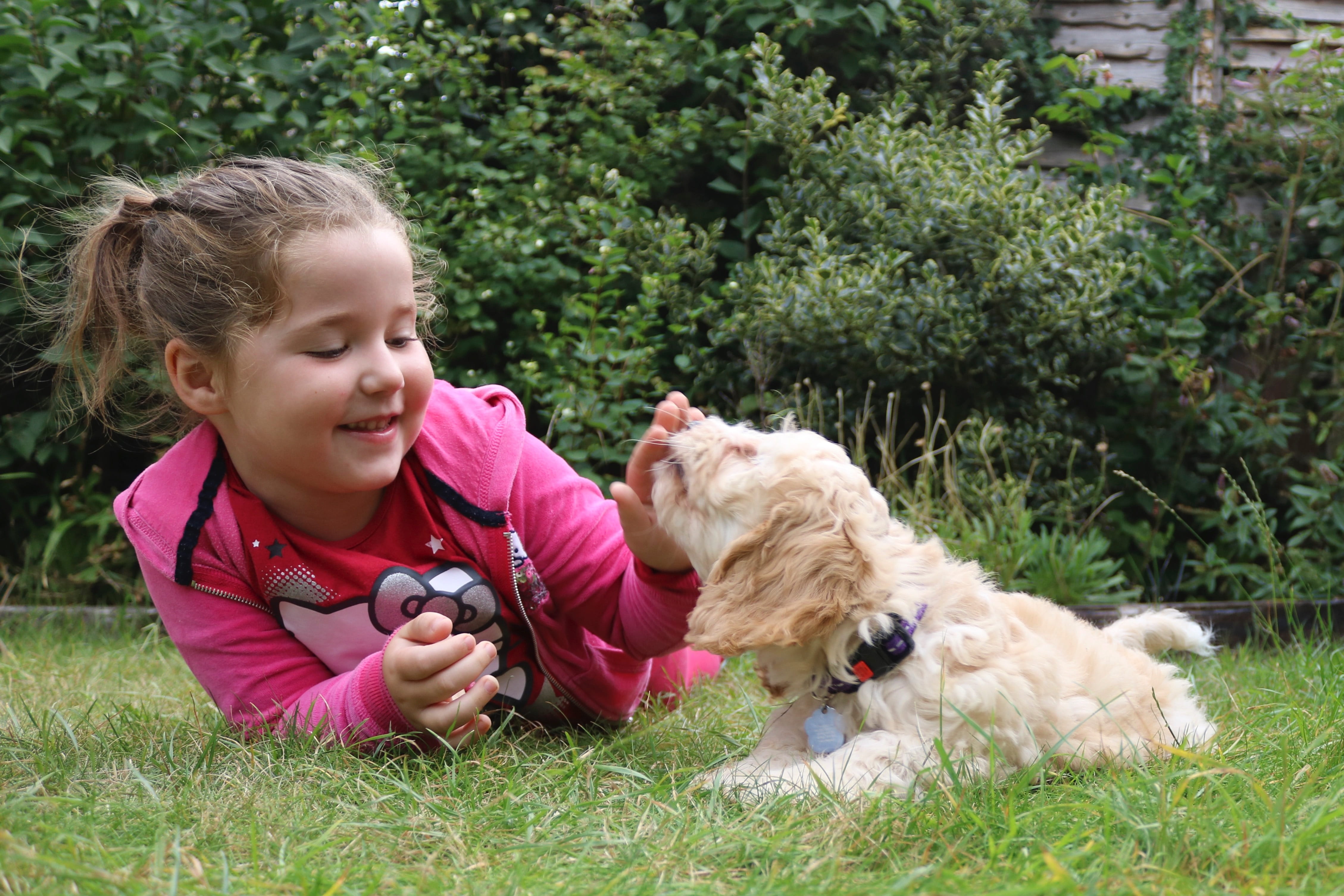 kid, jacket, wearing, lifestyle, boys, child, happy, smile, animal themes, girl, family, pets, female, happiness, dogs, nature, innocence, outdoors, 4K, HD Wallpaper