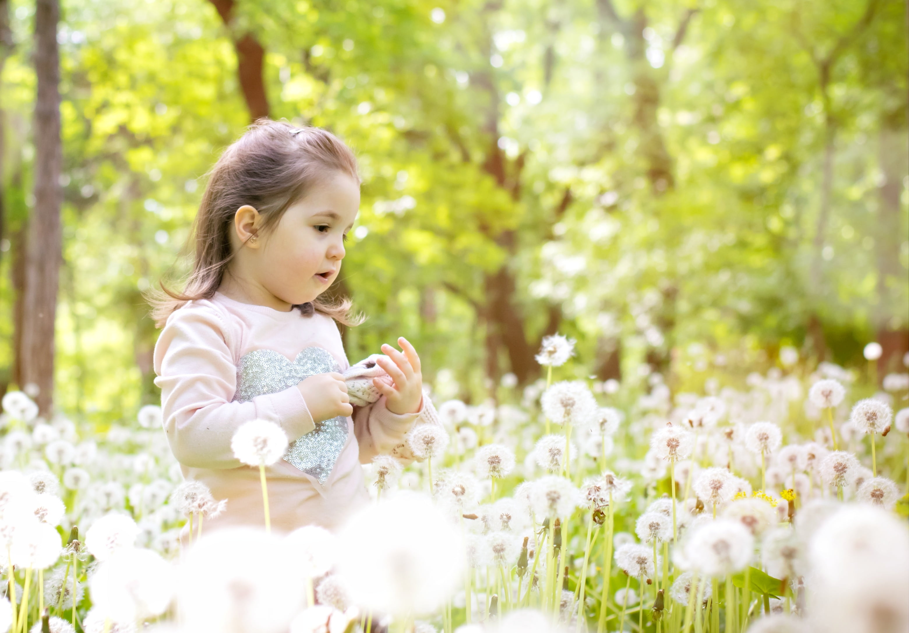 summer, flowering plant, dandelion, green, grass, joy, flower, innocence, playing, happy, people, outdoors, daytime, plant, caucasian Ethnicity, girl, females, HD Wallpaper