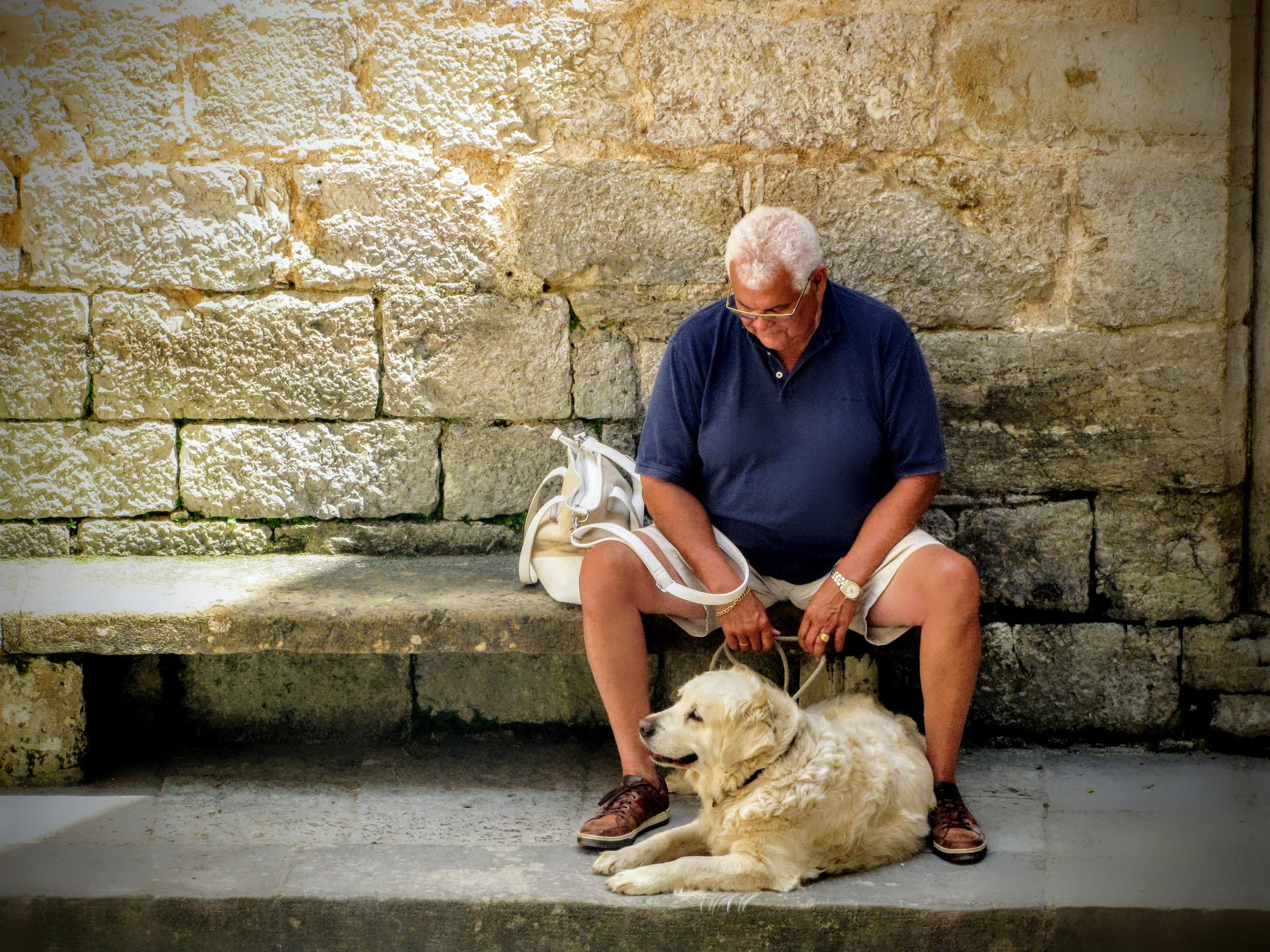 pensionary, a friend, retirees, mammal, concrete, company, old age, gray, trust, leash, grandfather, companion, real people, labrador, dog, one person, HD Wallpaper