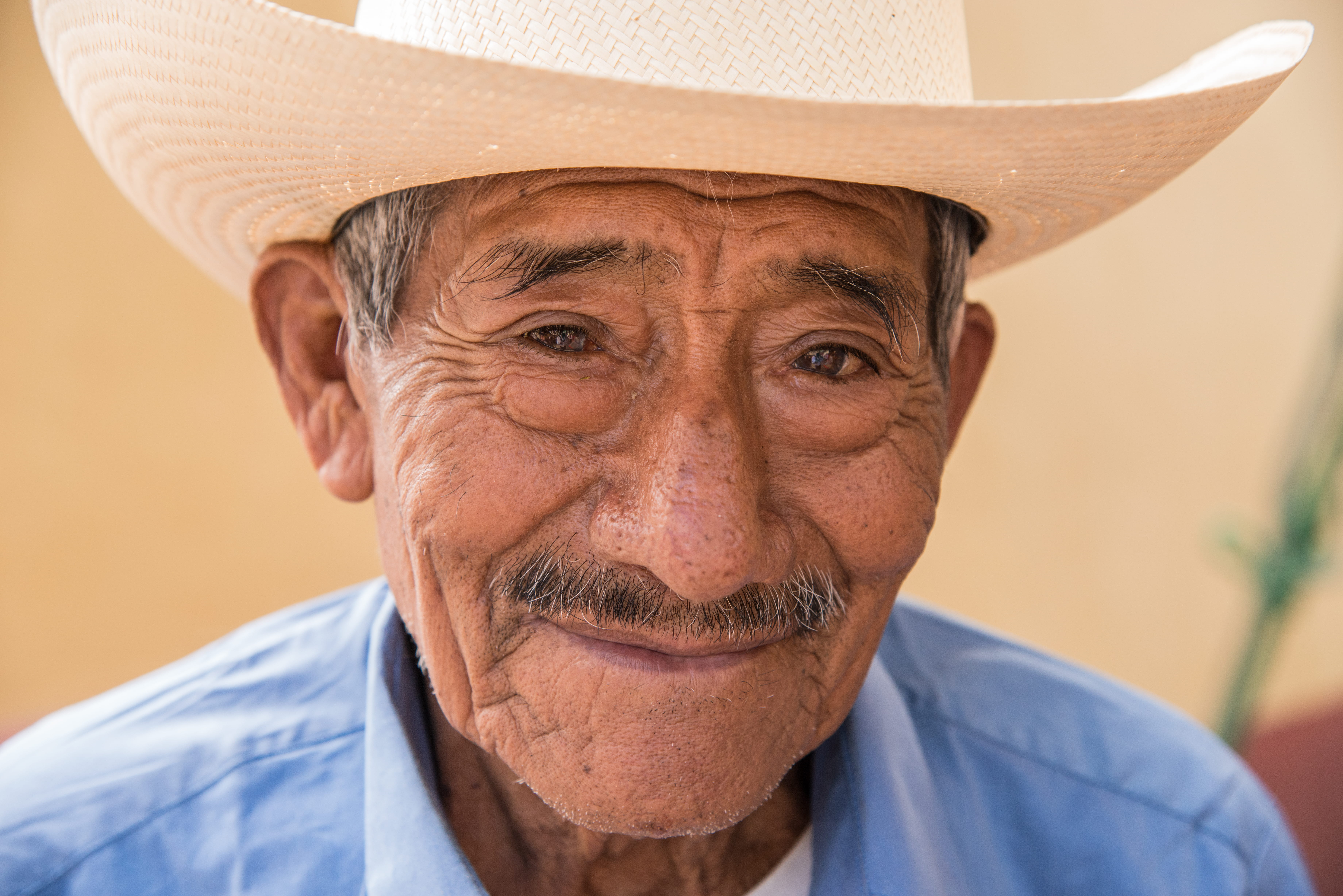 panama hat, portrait, face, white hair, mustache, moustache, white, blue, looking at camera, men, top, adult, male, wrinkled, cowboy hat, woven, wrinkle, HD Wallpaper