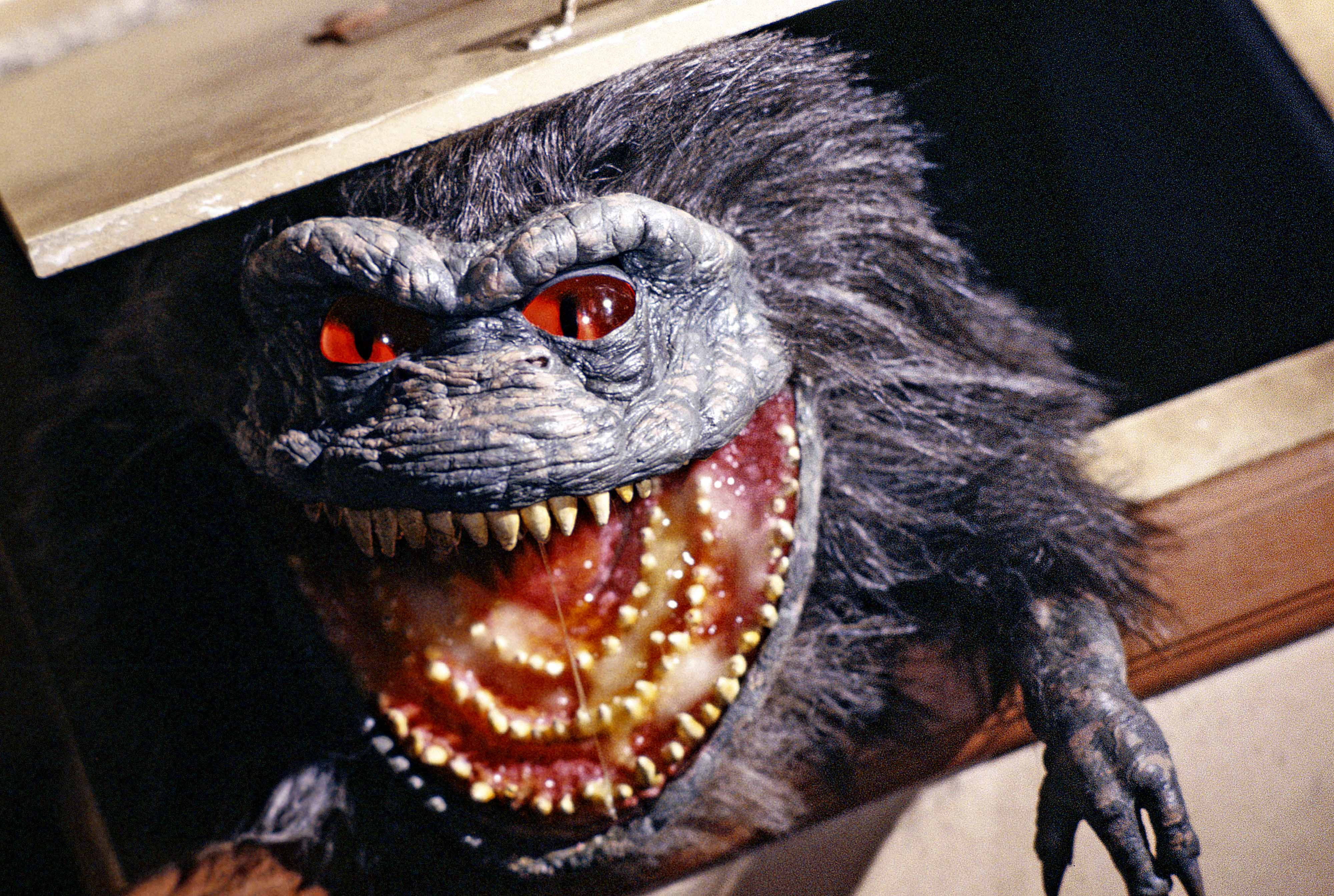 Movie, Critters, 4K, HD Wallpaper
