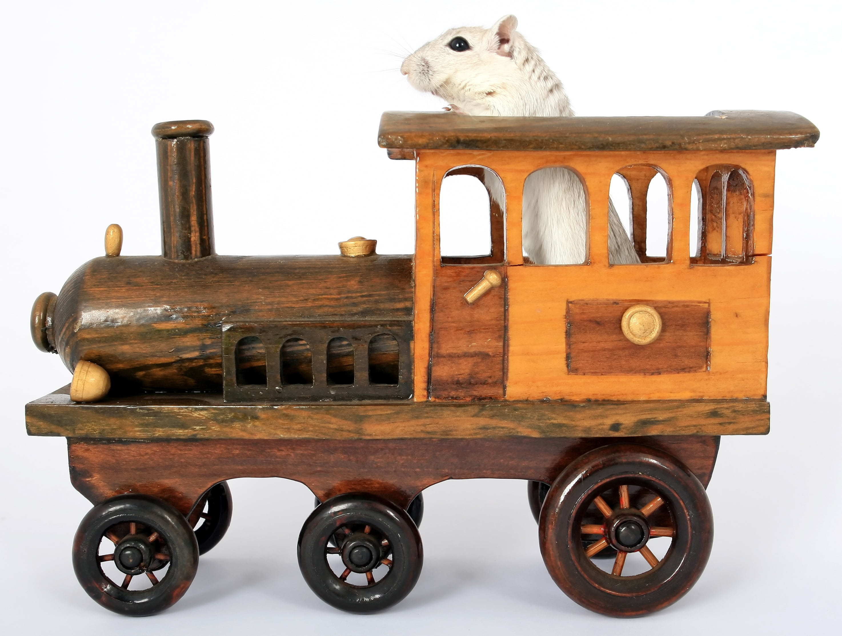 rusty, mouse, live, cart, closeup, white background, animal themes, listen, large group of objects, face, art and craft, nature, smell, mammal, domestic, HD Wallpaper