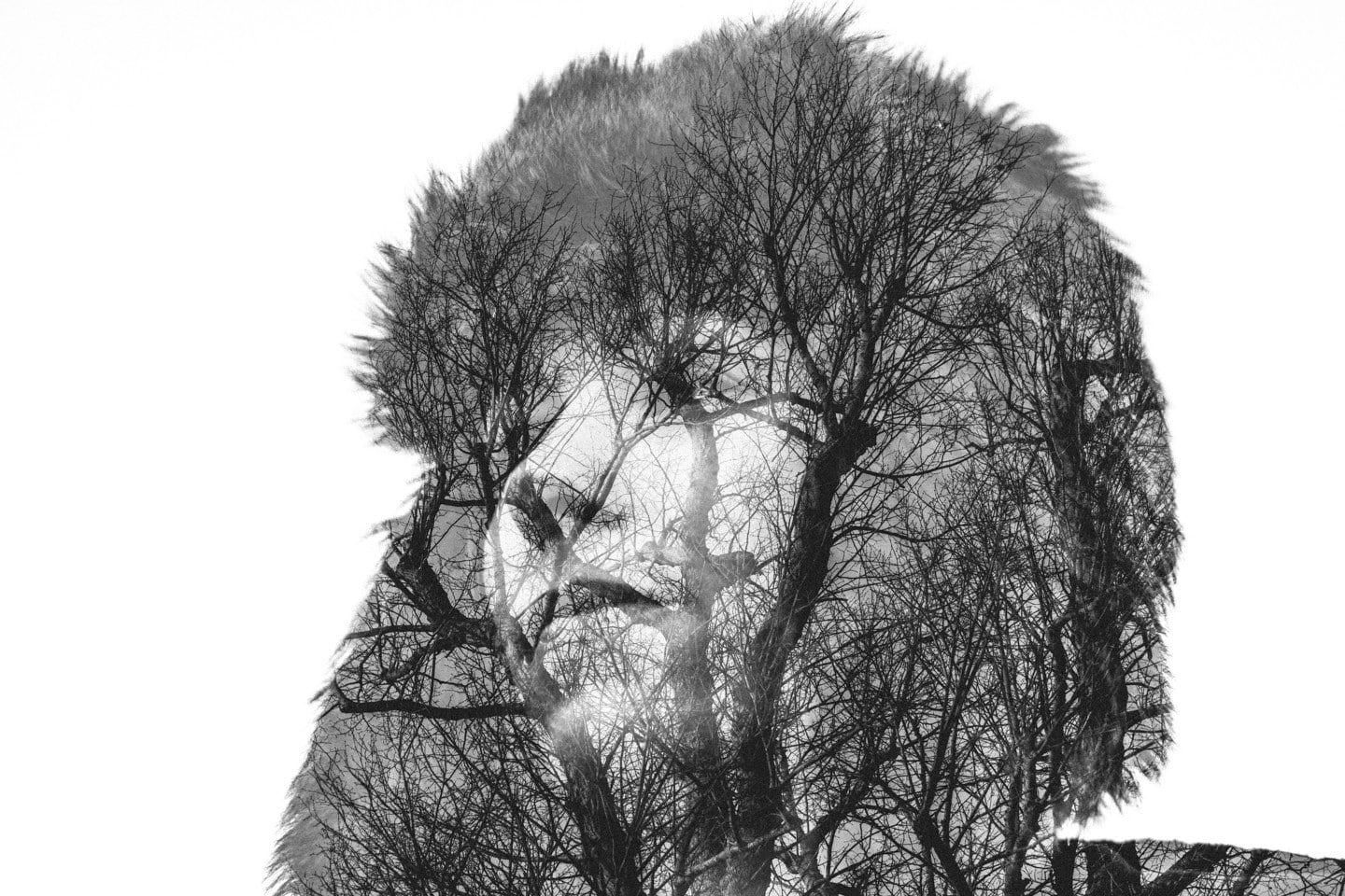 no people, white background, monochrome, gray, day, nature, double exposure, women, clear sky, bare tree, outdoors, plant, branch, sky, 720P, trunk, tree trunk, HD Wallpaper