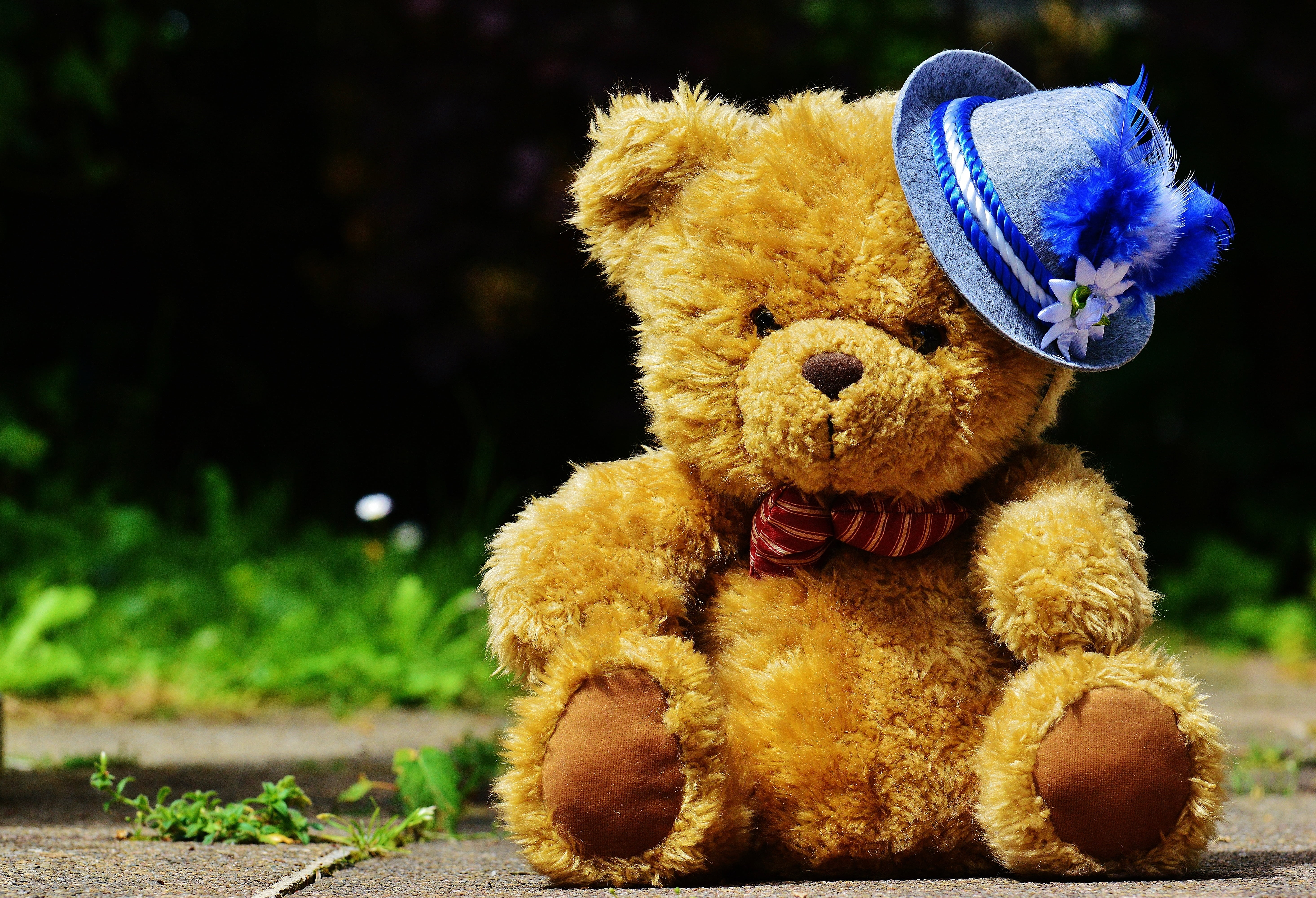 bavarian, 5K, folk festival, oktoberfest, toy, teddy, outdoors, yellow, hat, representation, trachtenhut, floor, tradition, plush, plant, brown, munich, HD Wallpaper