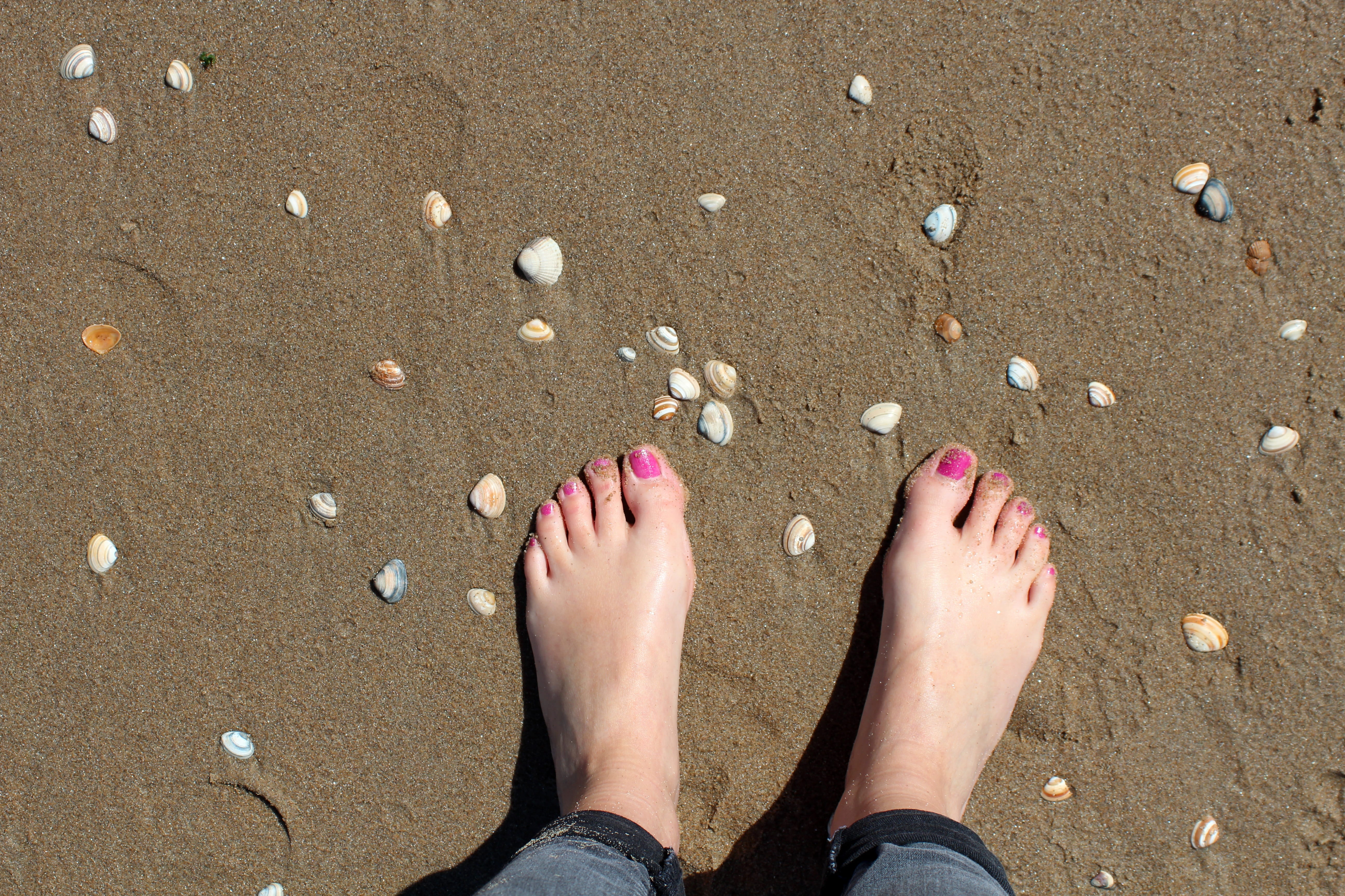 day, lifestyles, Mussels, land, summer, human body part, person, one Person, holiday, gray, people, high angle view, barefoot, beach, body part, woman, HD Wallpaper