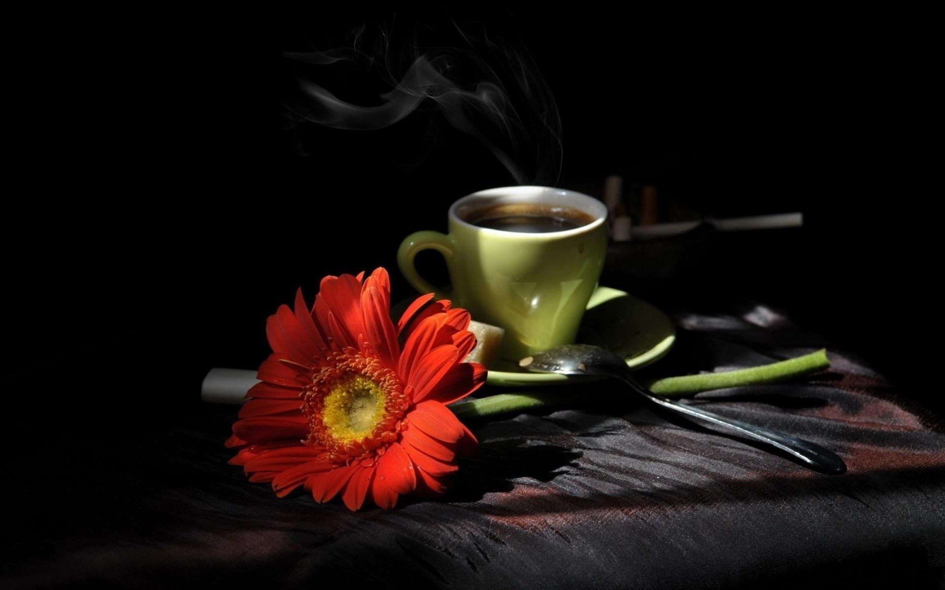 cup, green, red, gerbera, spoon, mug, petaled, photography, coffe, ceramic, coffee, 1080P, 1920x1200, flower, multi, HD Wallpaper