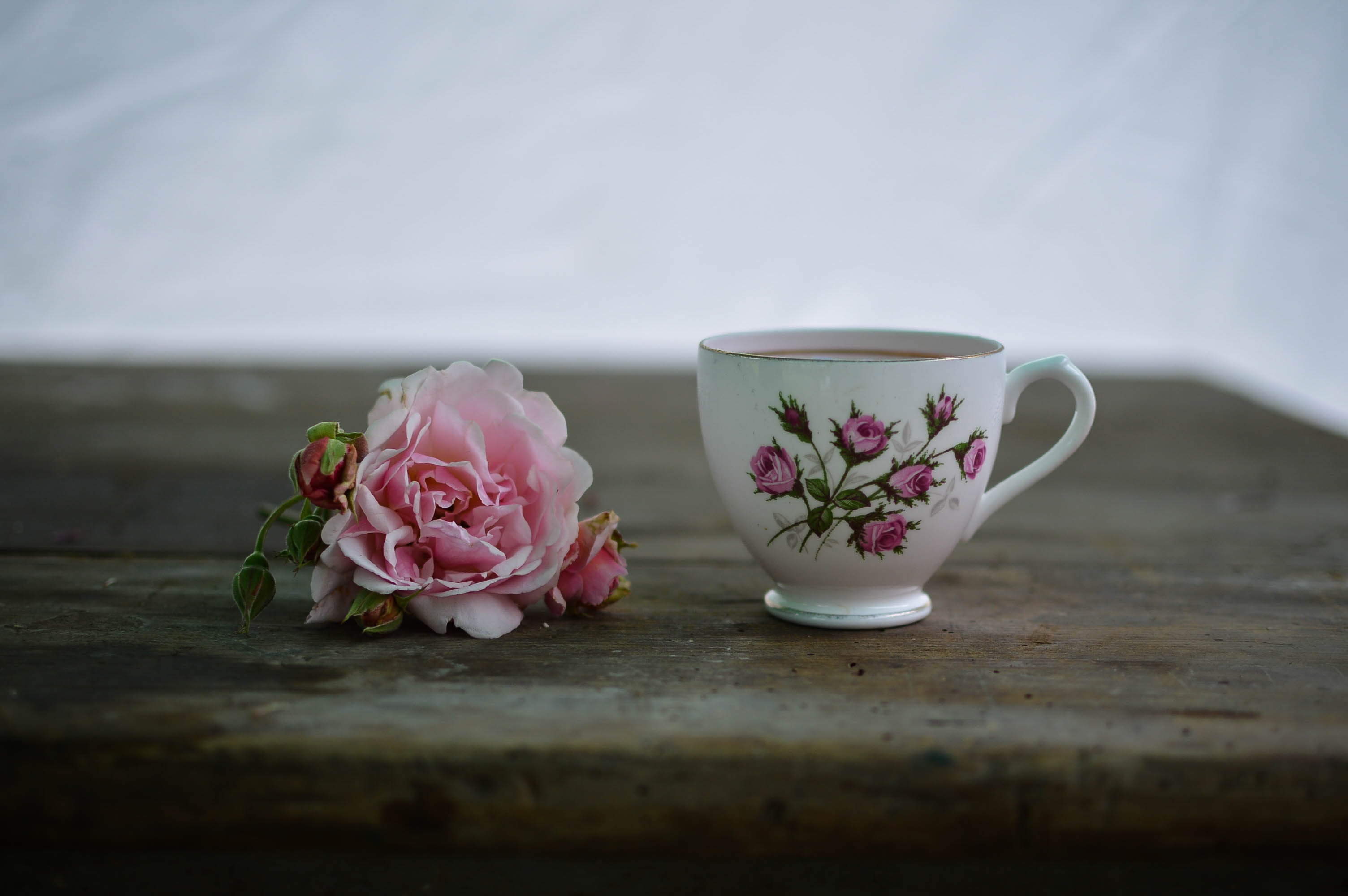 ceramic, tea cup, hot, flowering plant, beauty in nature, white, freshness, plant, still life, no people, cup, selective focus, tea, coffee, close-up, nature, HD Wallpaper